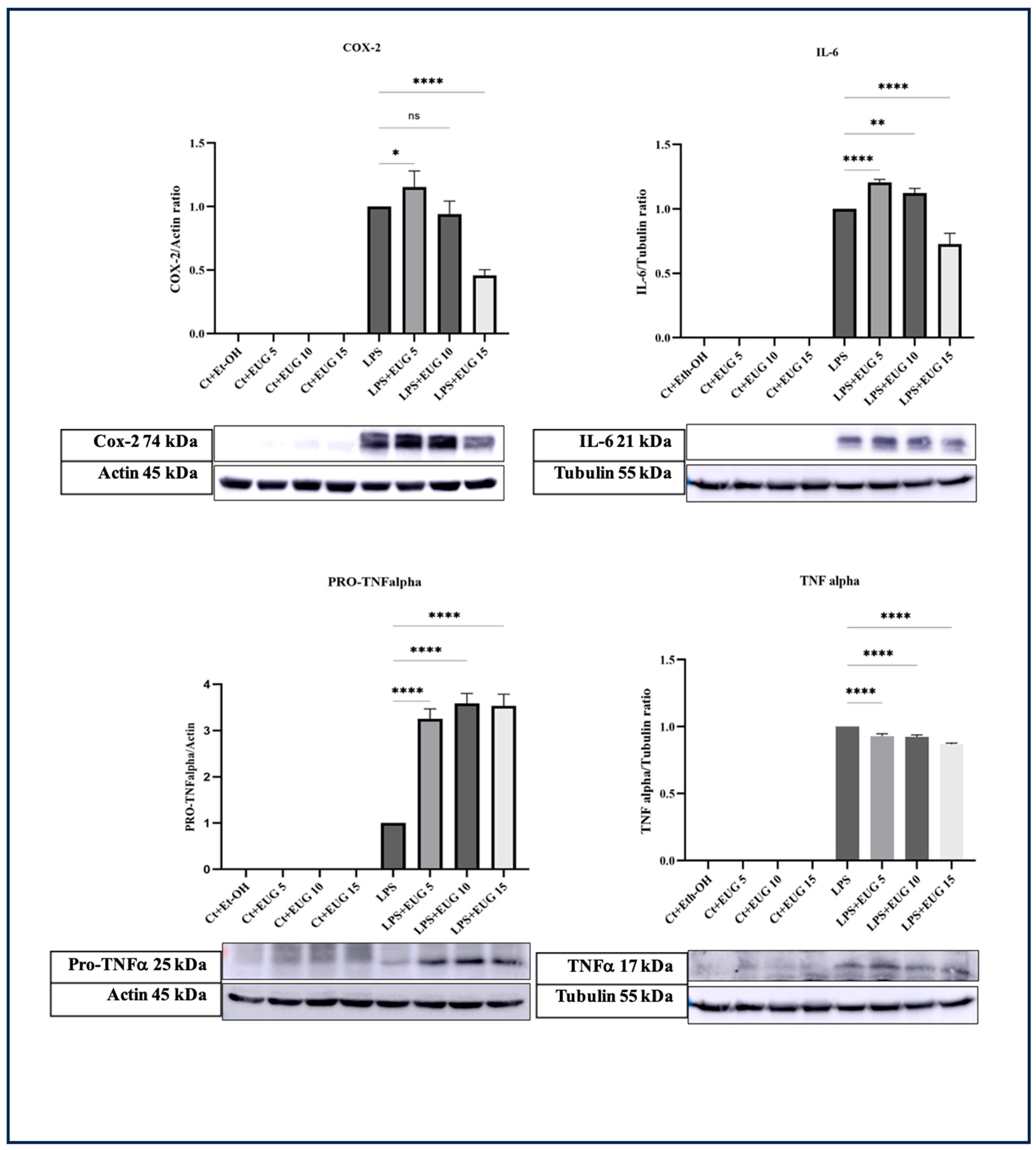 Molecules 28 07619 g002