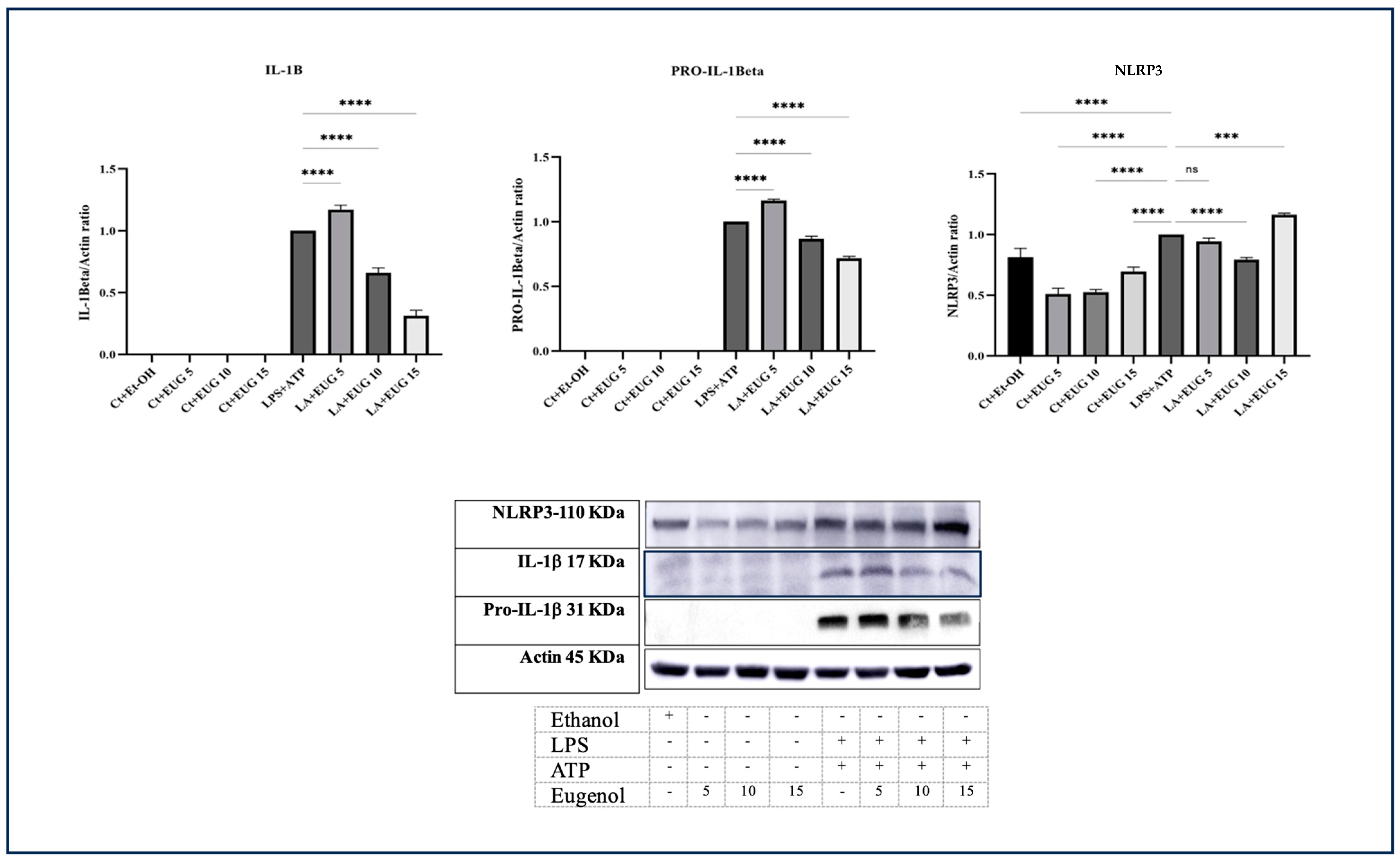 Molecules 28 07619 g003