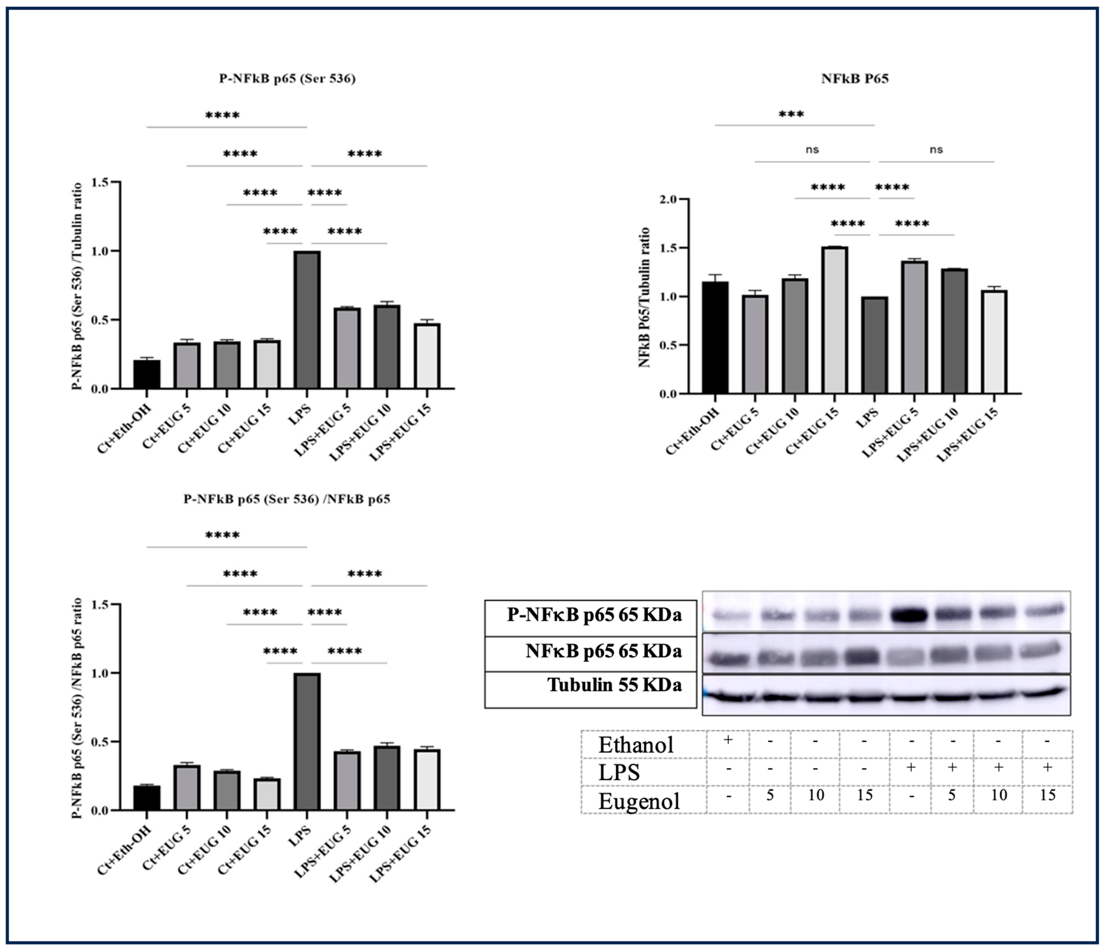 Molecules 28 07619 g004