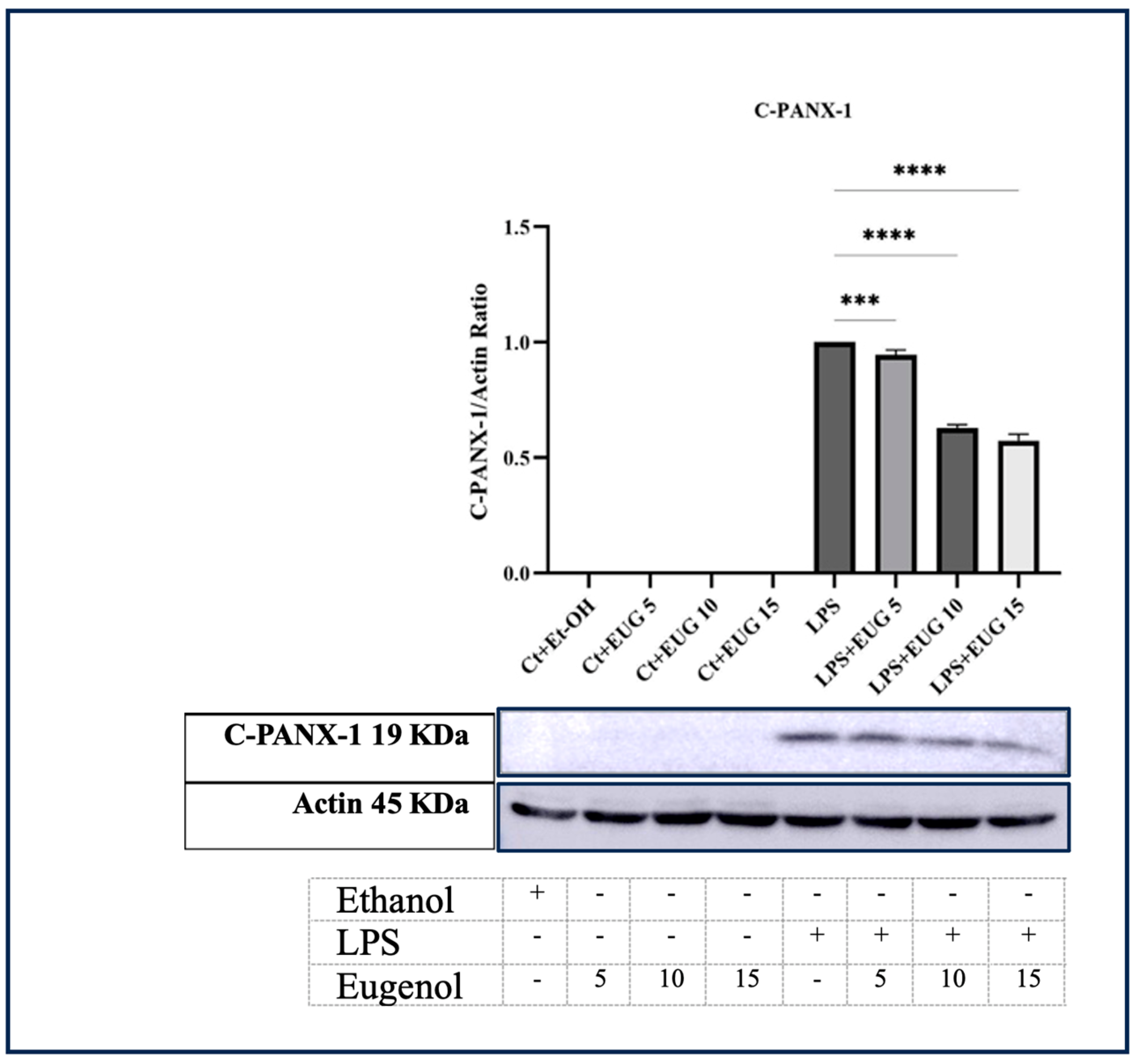 Molecules 28 07619 g005
