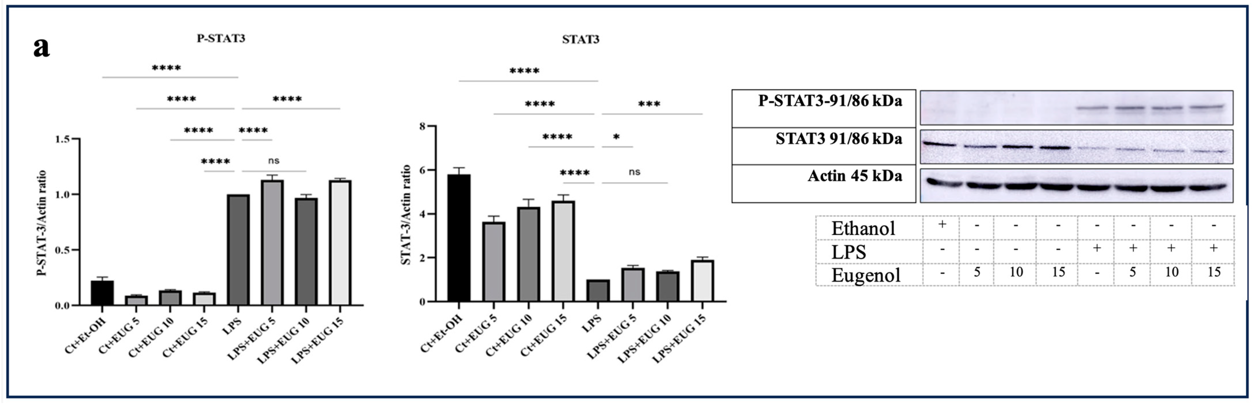 Molecules 28 07619 g006a