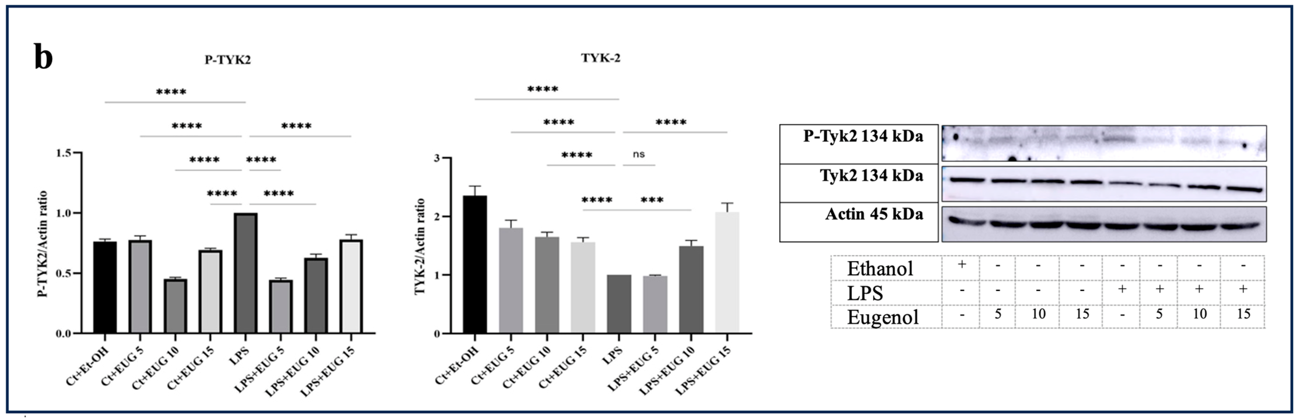 Molecules 28 07619 g006b