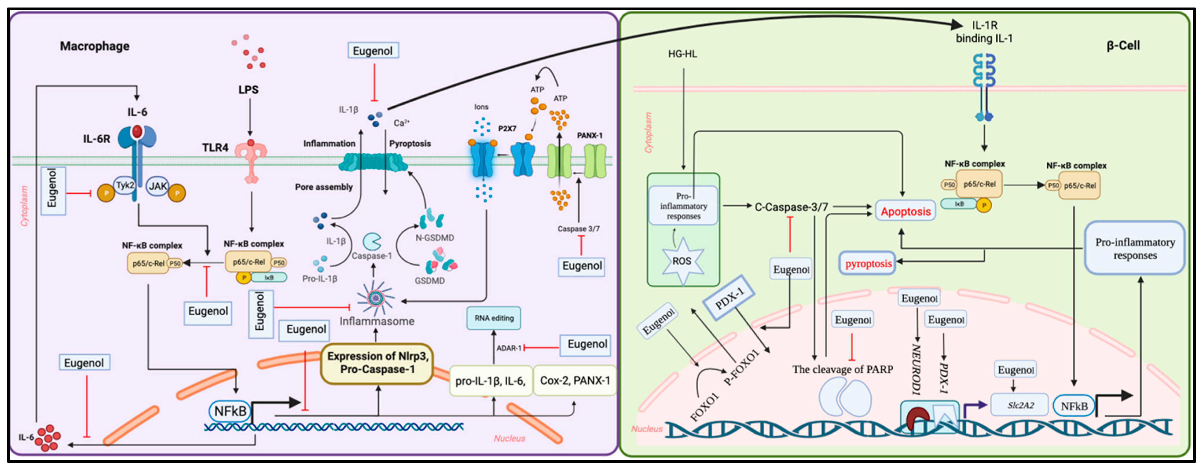 Molecules 28 07619 g014