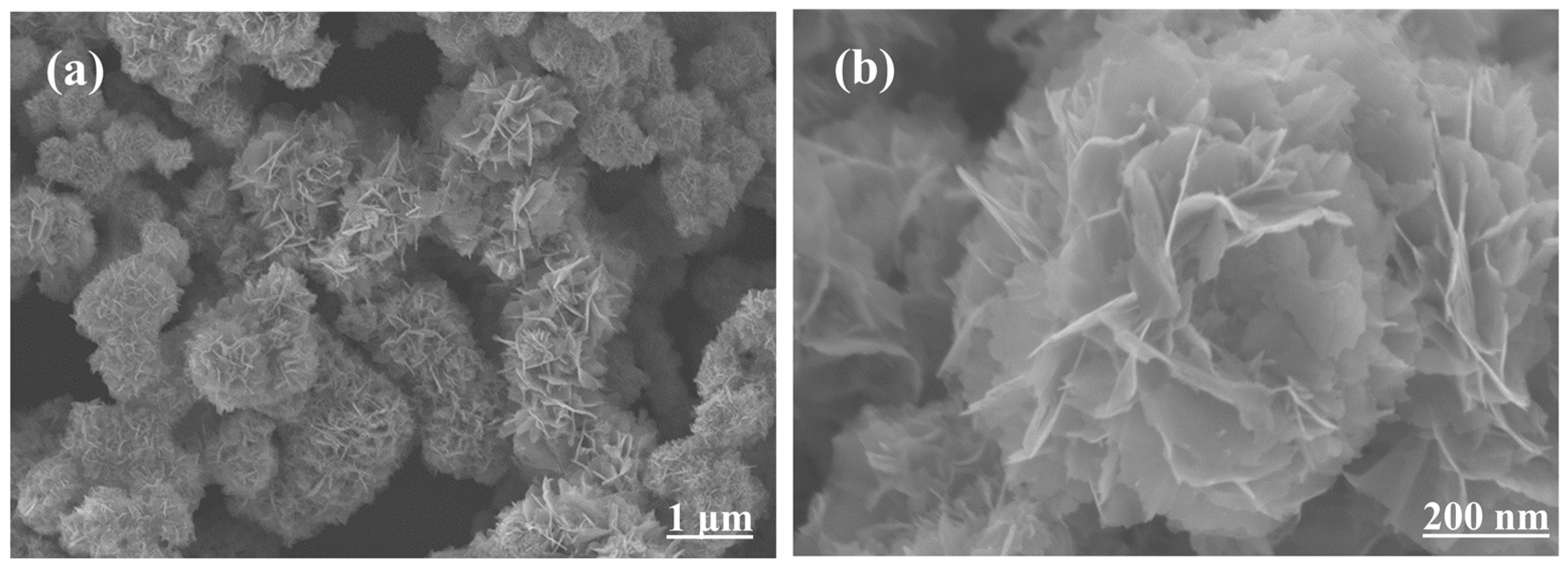 Molecules 28 07621 g001