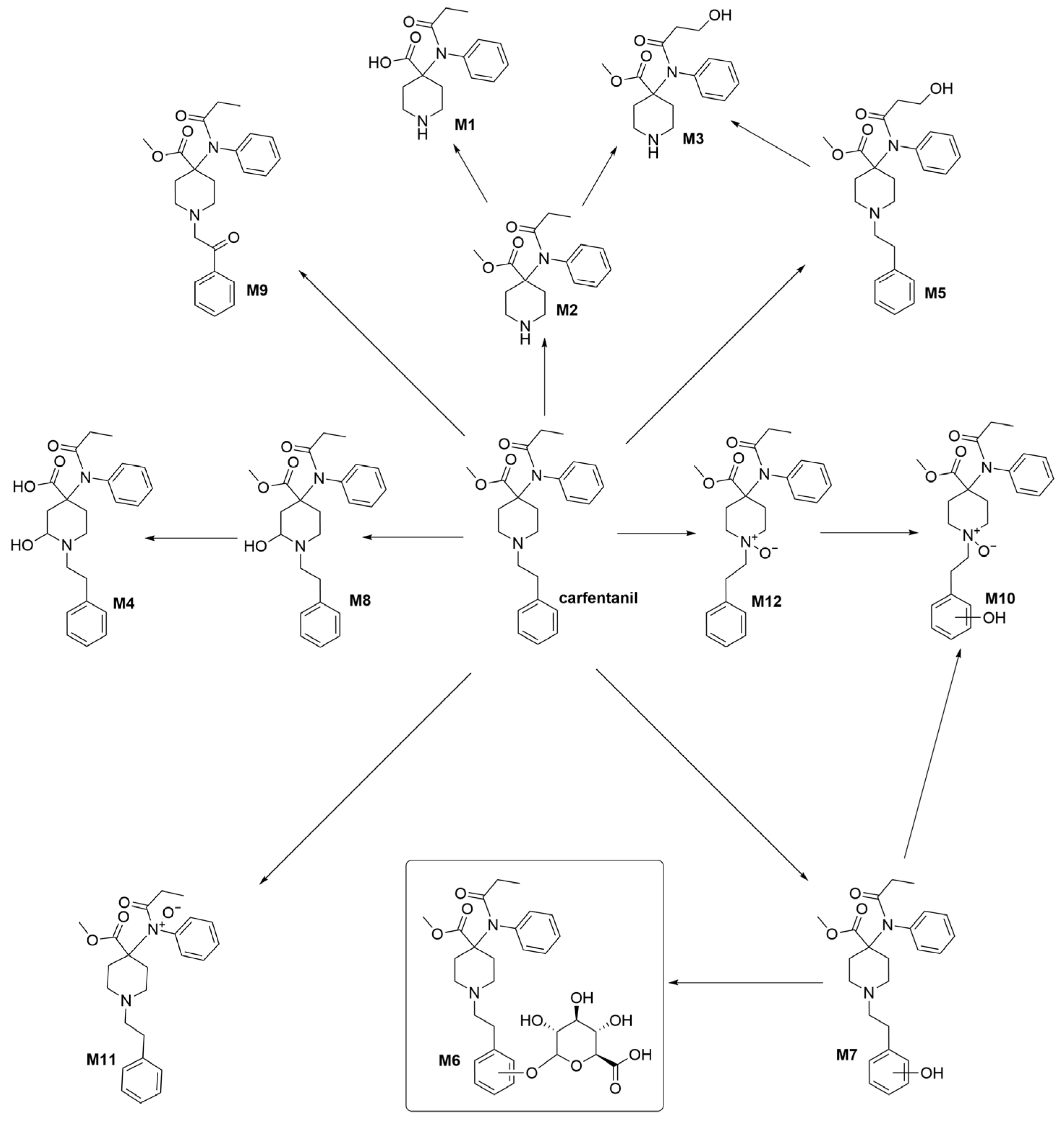 Molecules 28 07625 g001