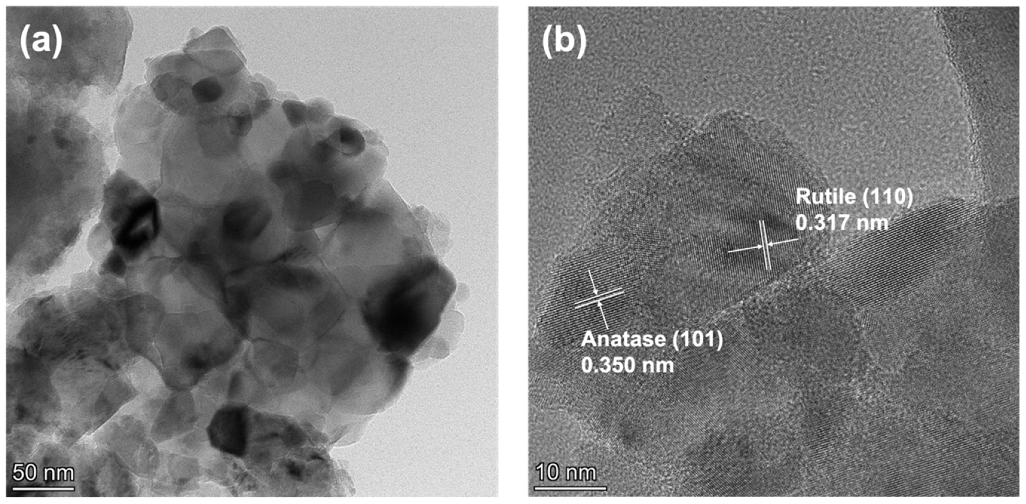 Molecules 28 07626 g013