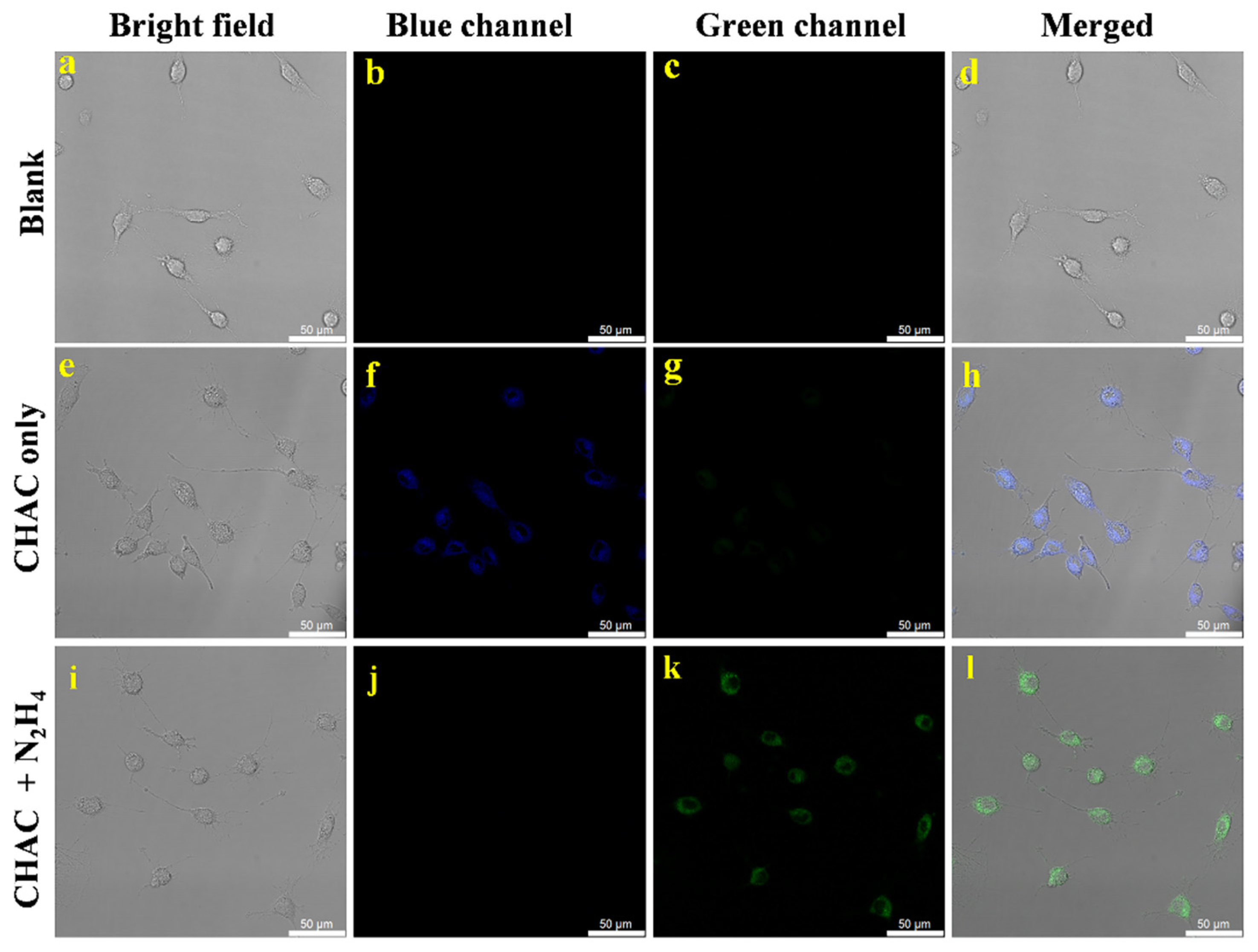 Molecules 28 07629 g008