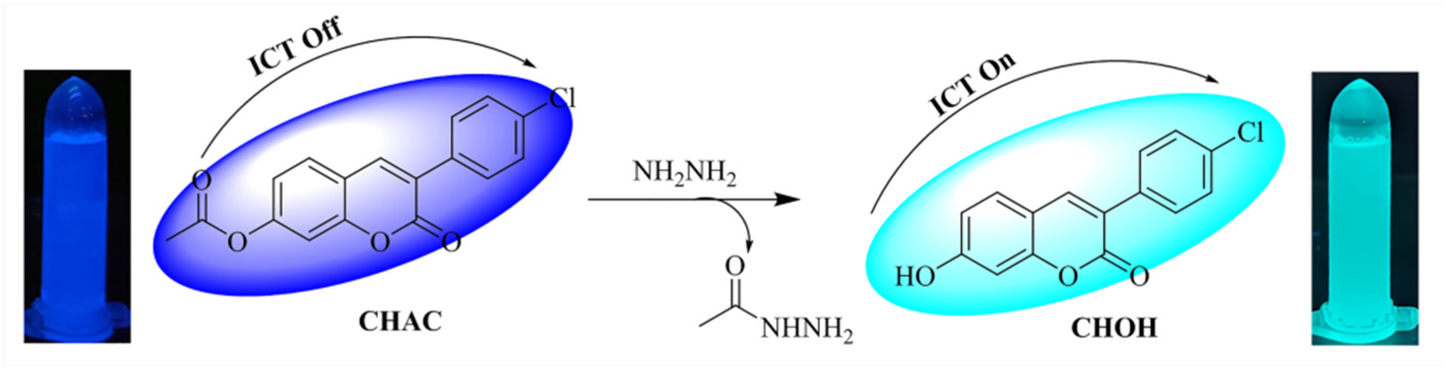 Molecules 28 07629 sch002