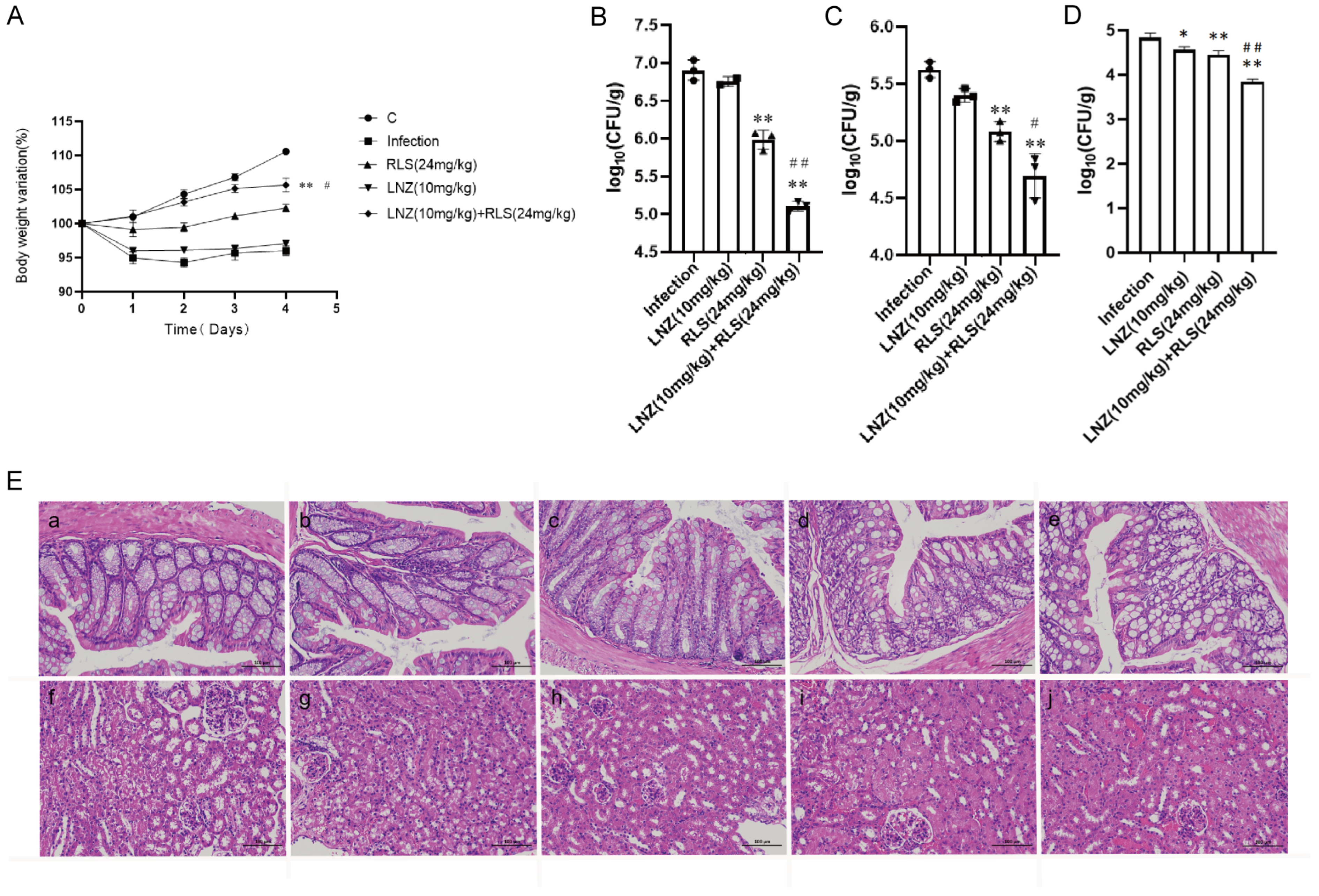 Molecules 28 07630 g005