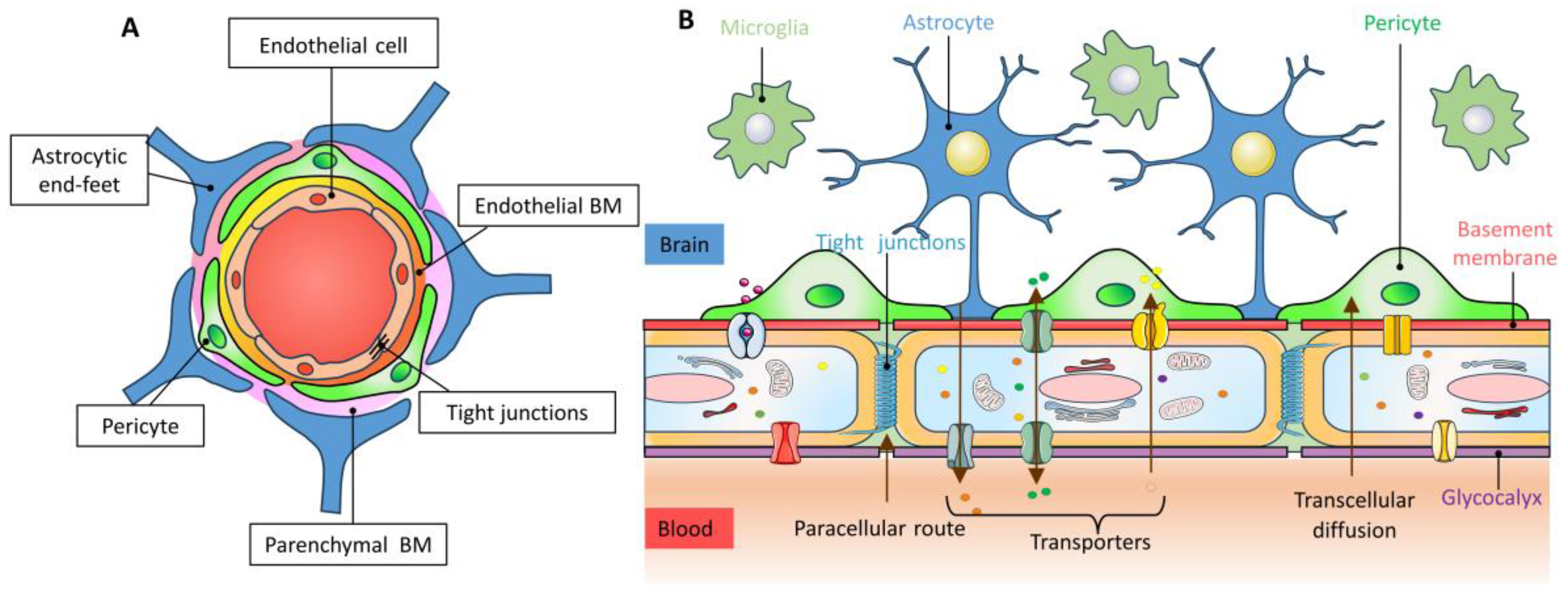Molecules 28 07631 g001
