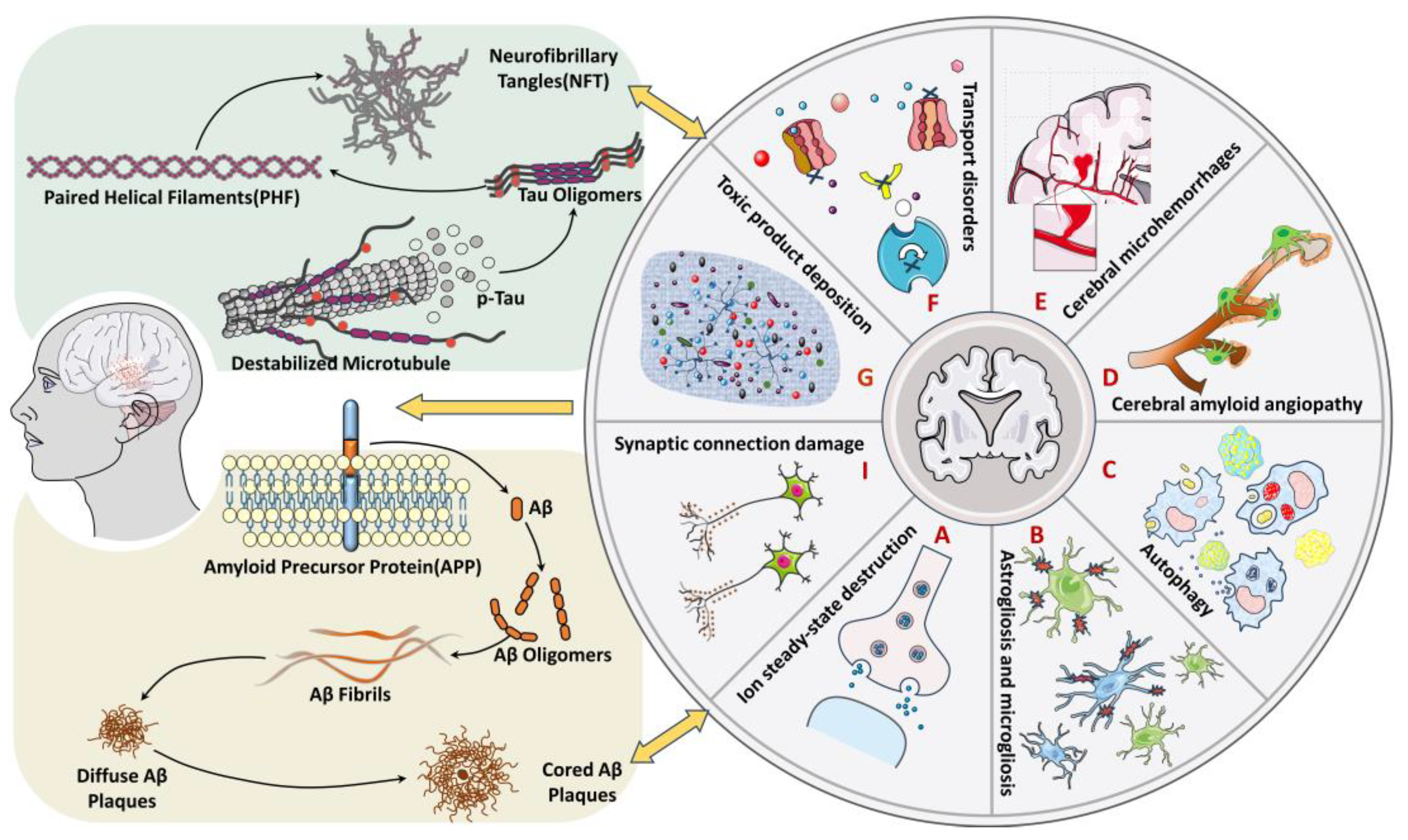 Molecules 28 07631 g002