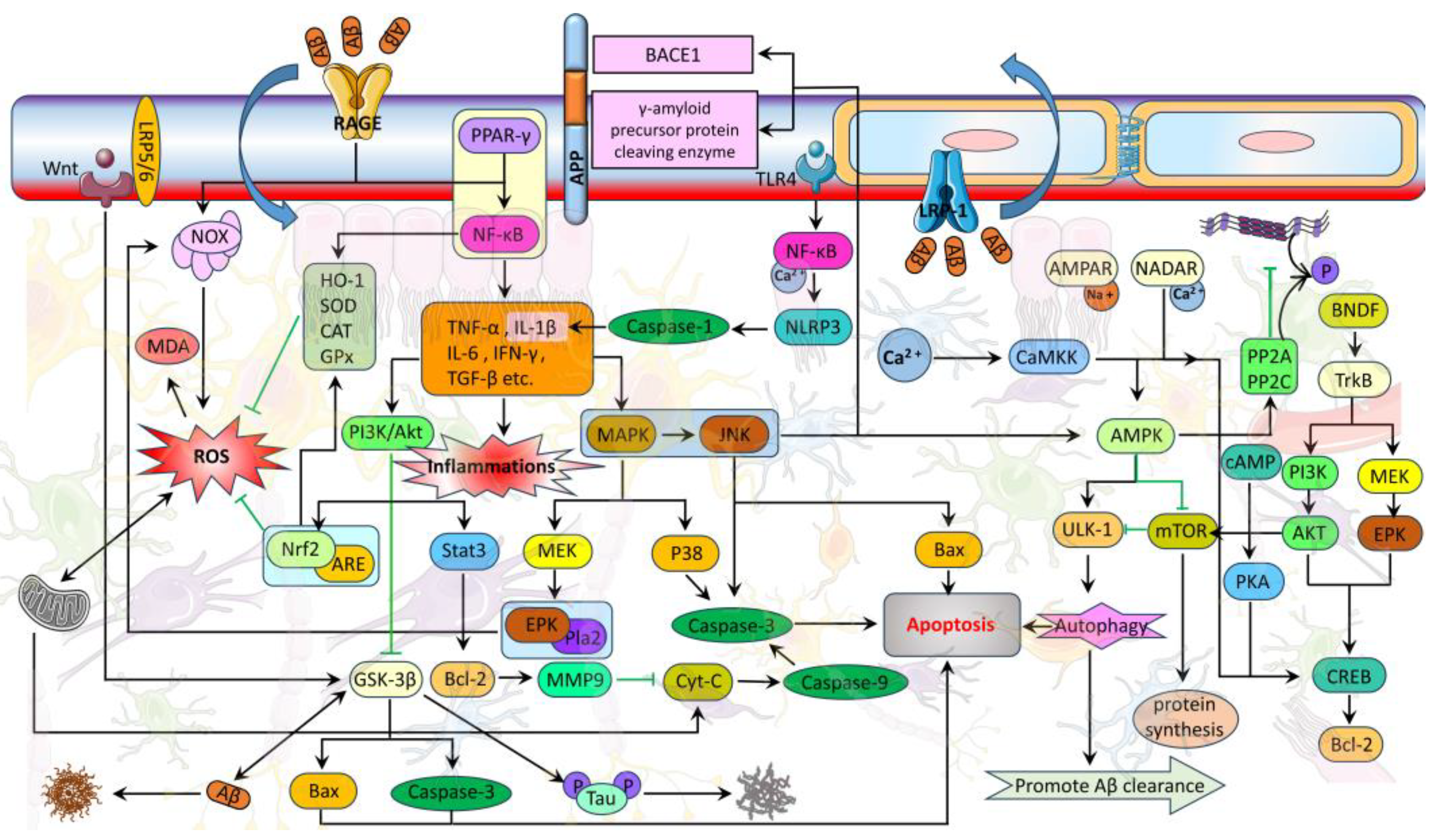 Molecules 28 07631 g004