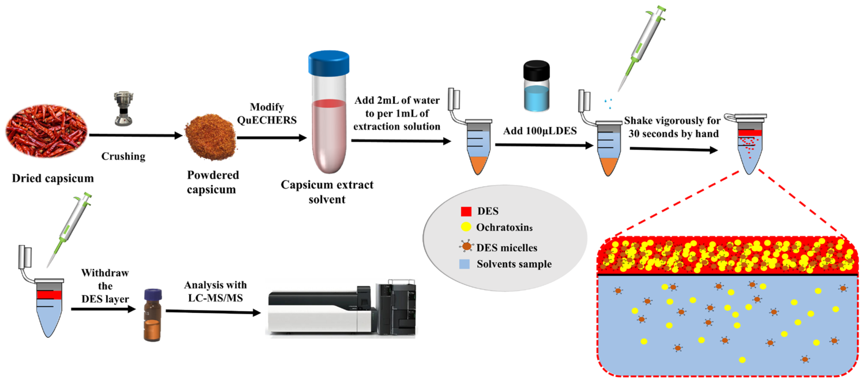 Molecules 28 07634 g005 Molecules 28 07634 g005