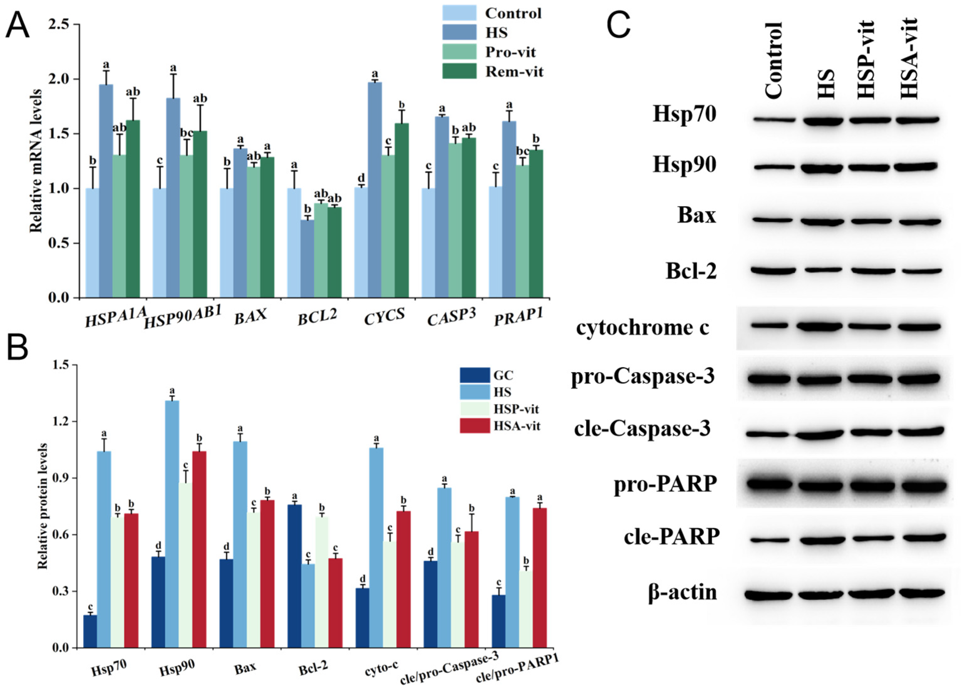 Molecules 28 07639 g004