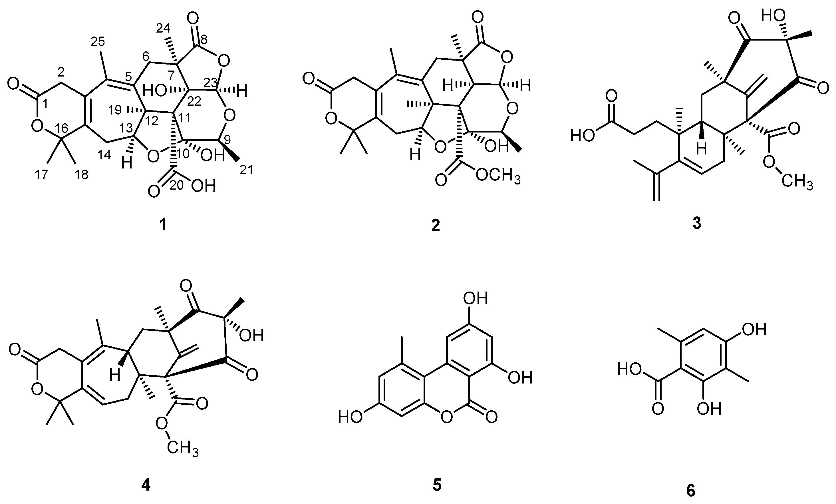 Molecules 28 07650 g001