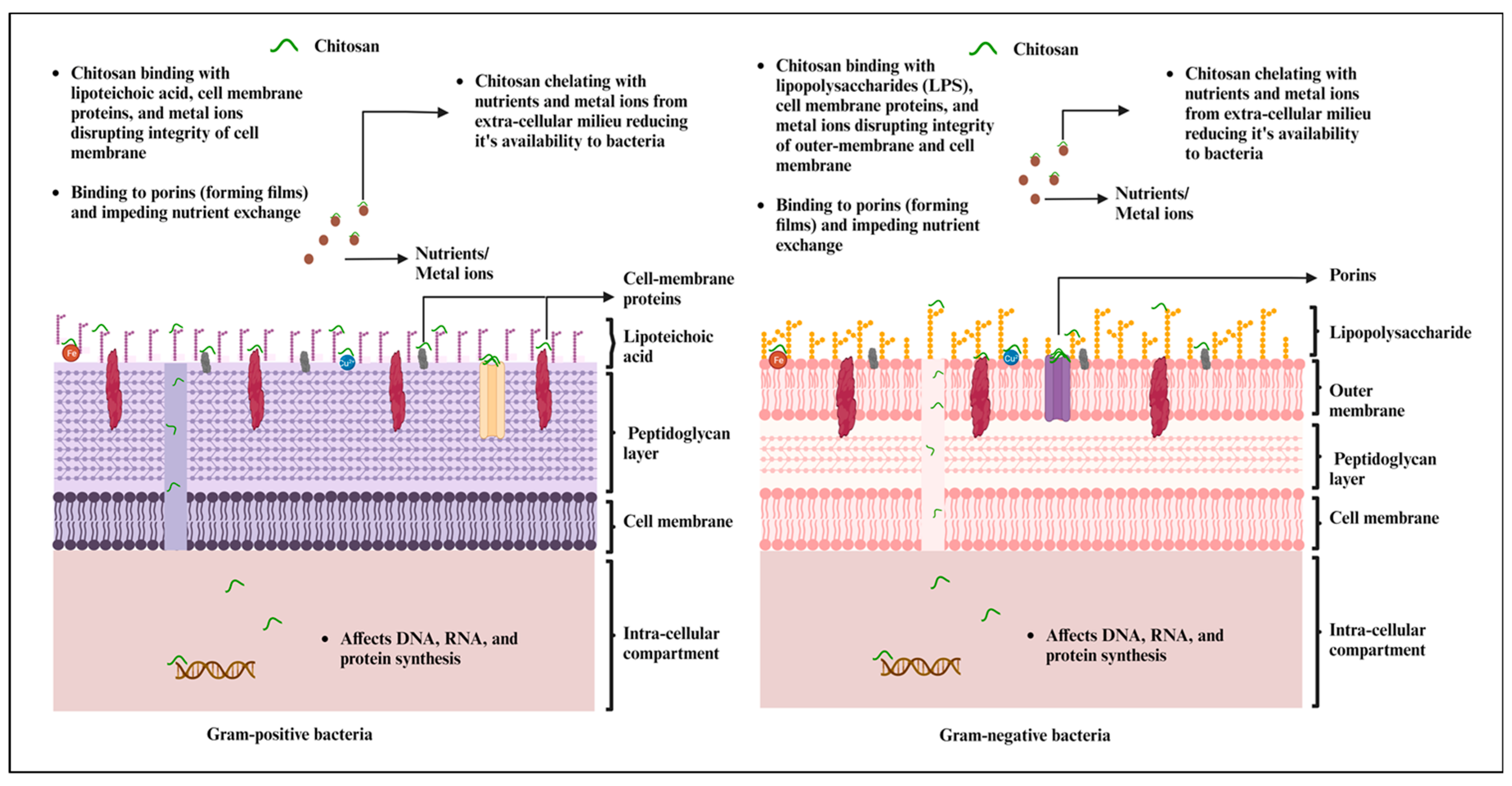 Molecules 28 07659 g001