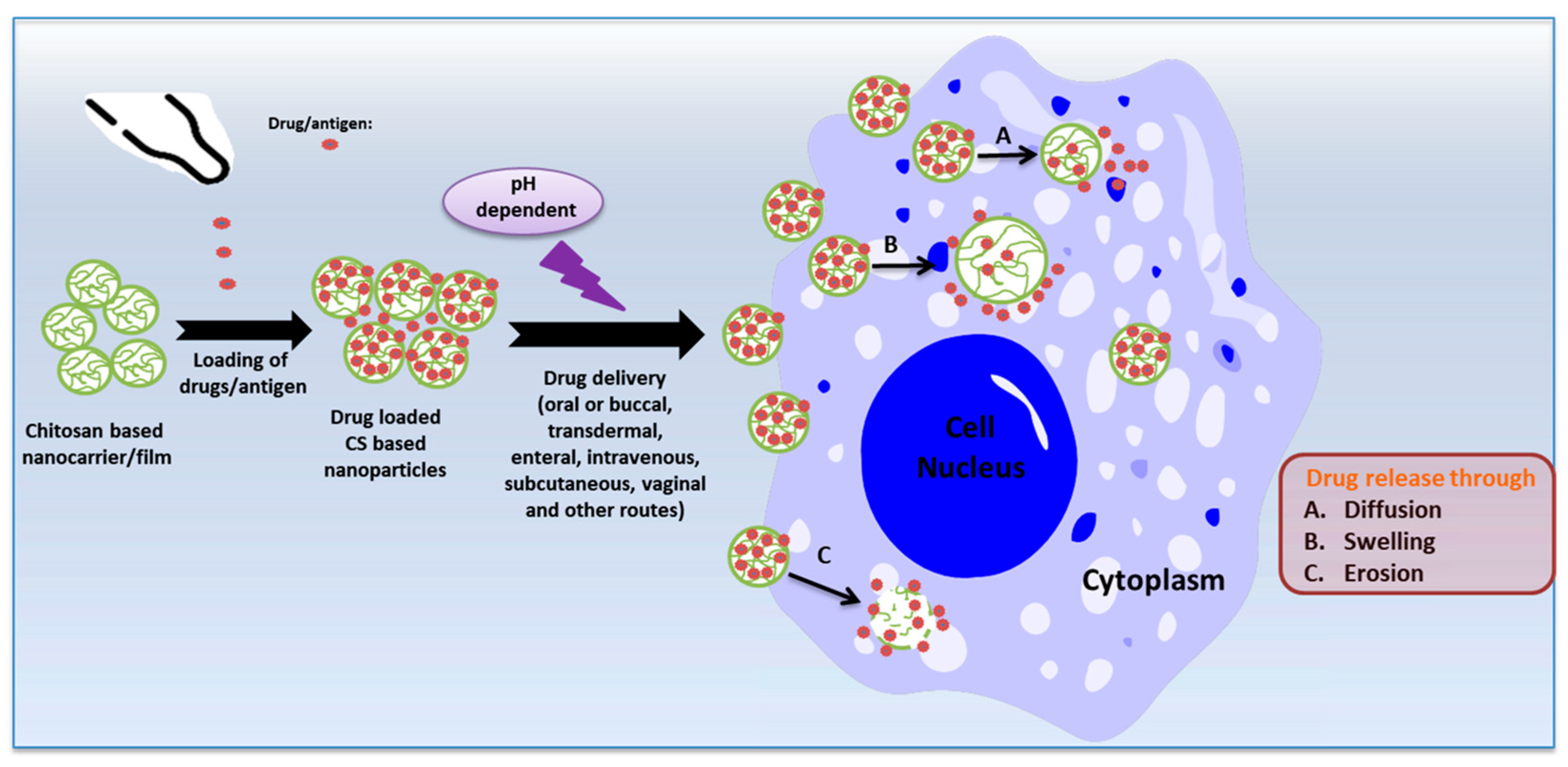 Molecules 28 07659 g002