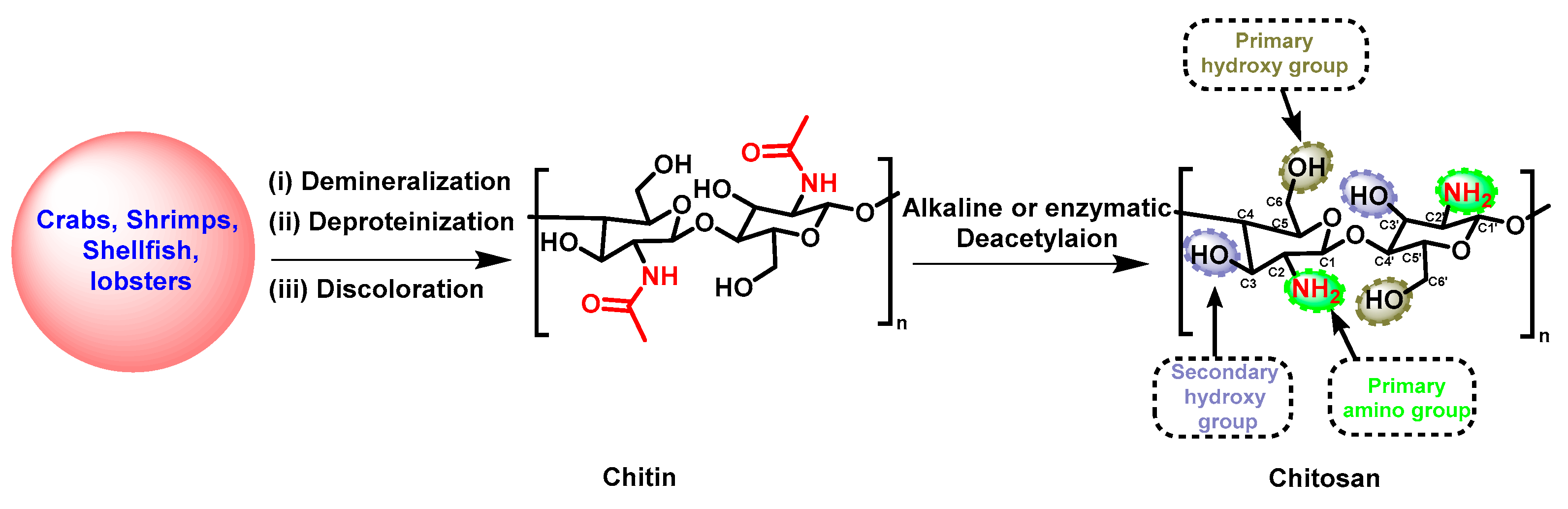 Molecules 28 07659 sch001