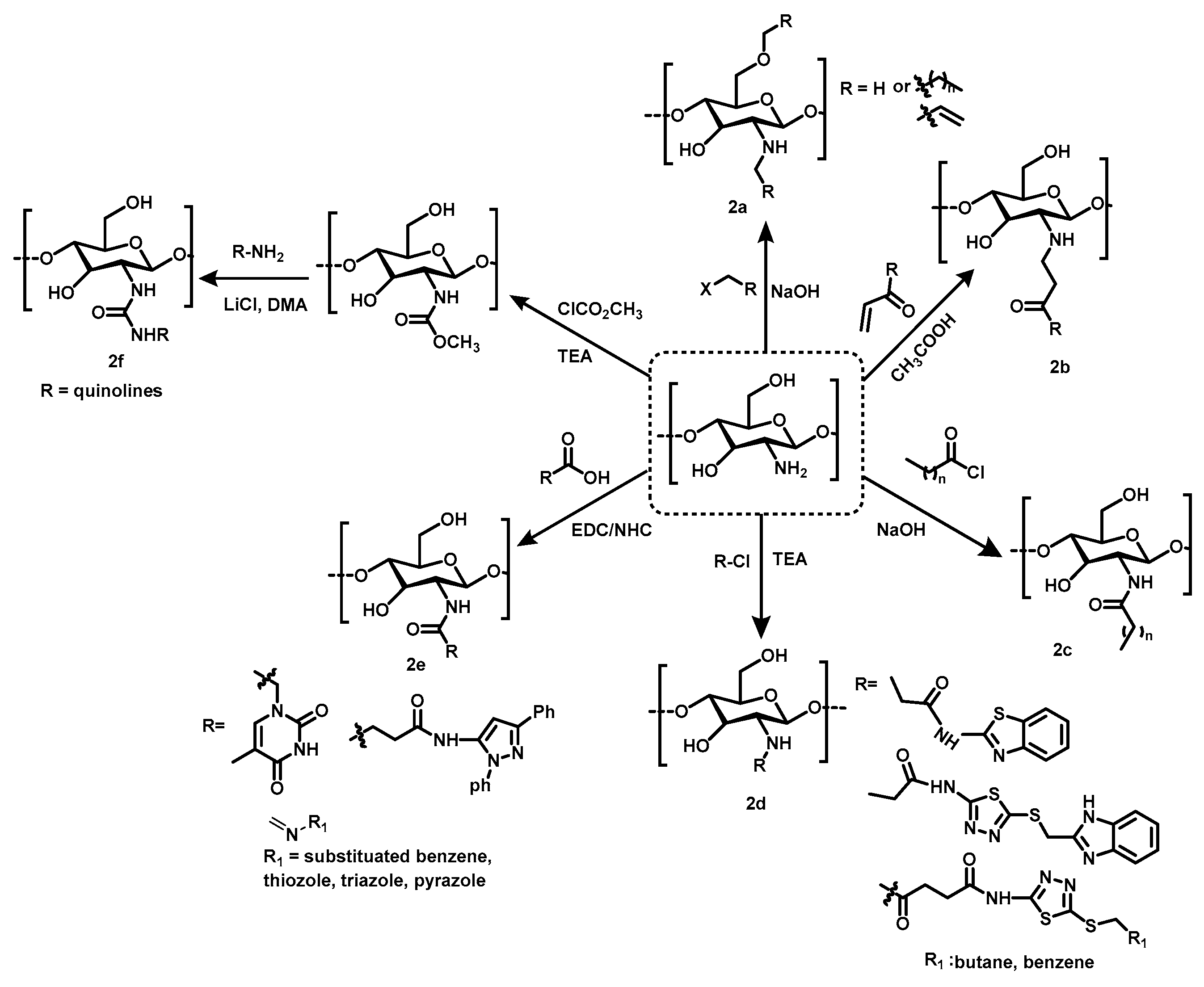 Molecules 28 07659 sch002