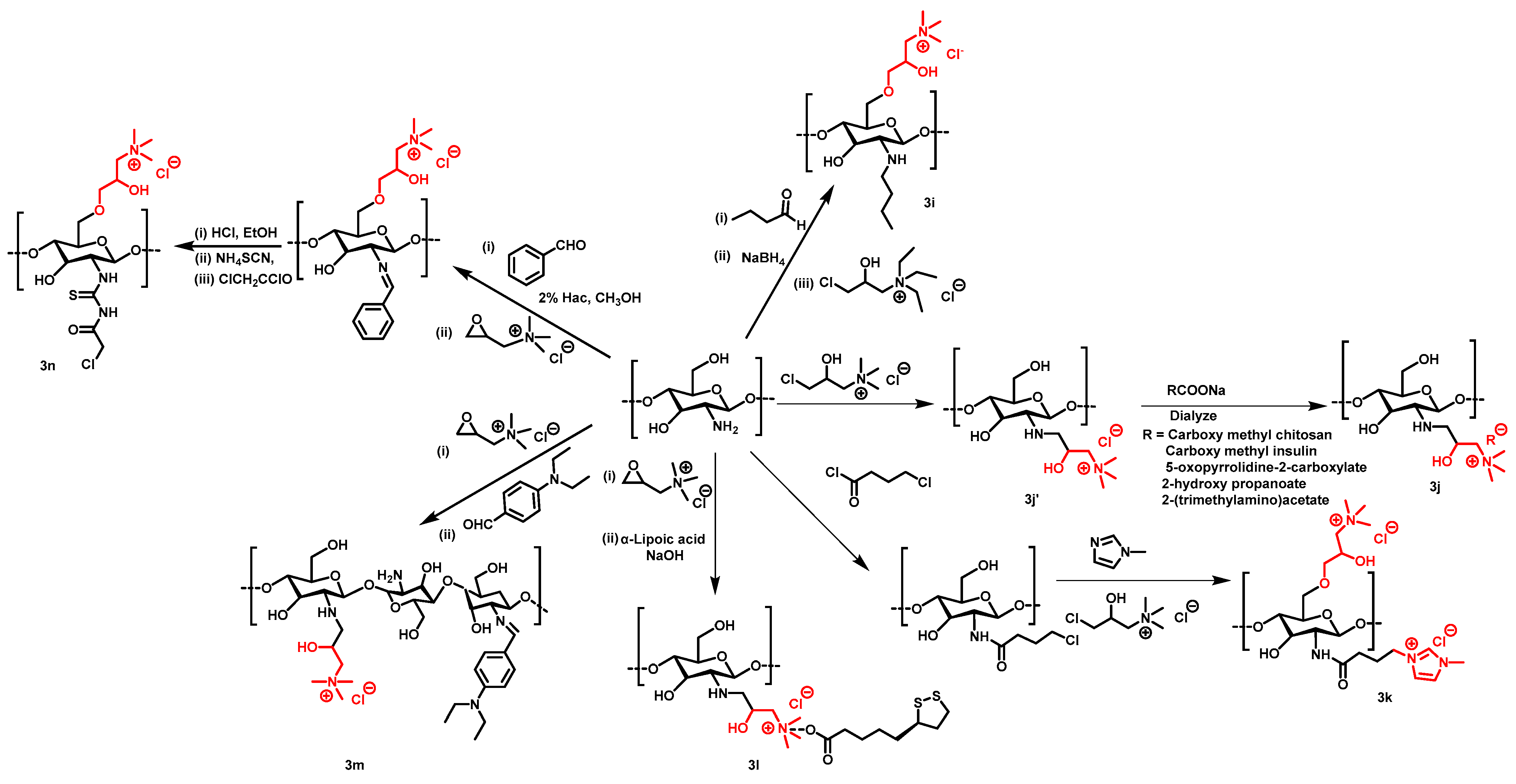 Molecules 28 07659 sch005