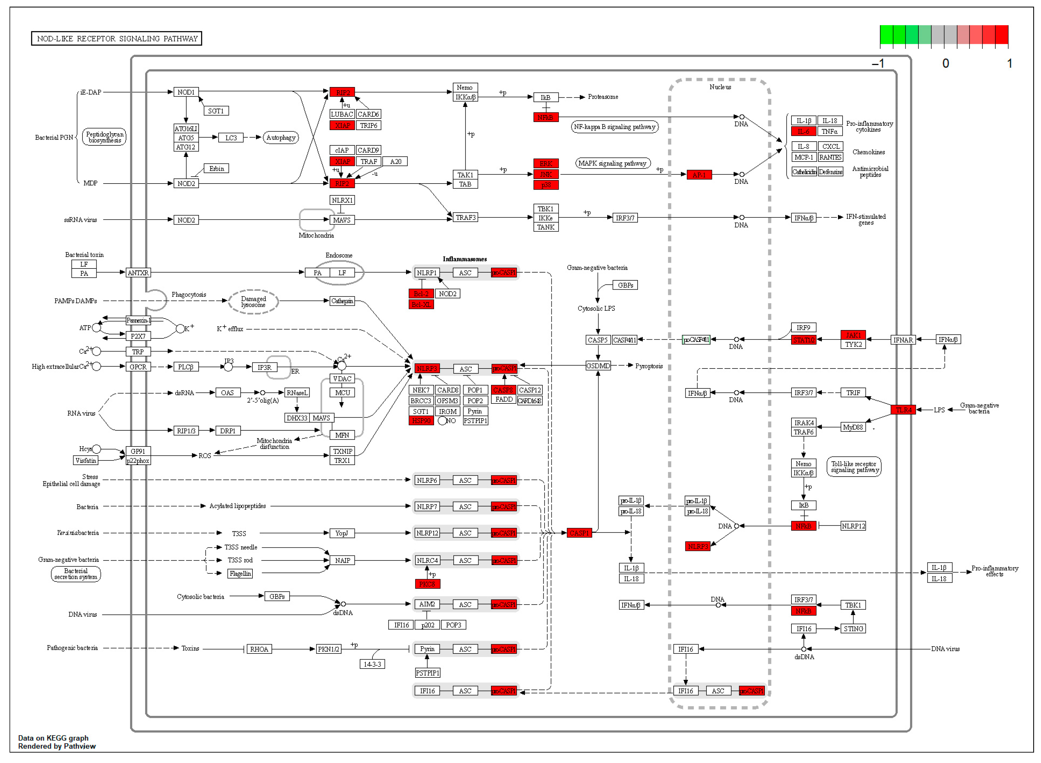 Molecules 28 07663 g003