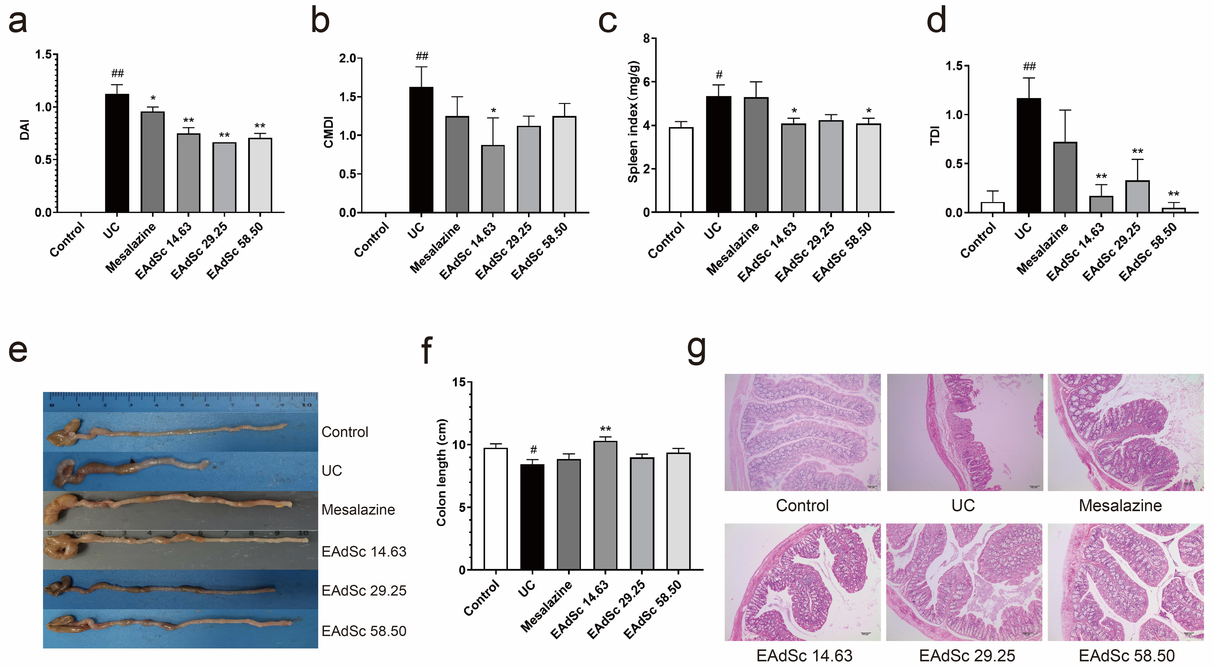 Molecules 28 07663 g005