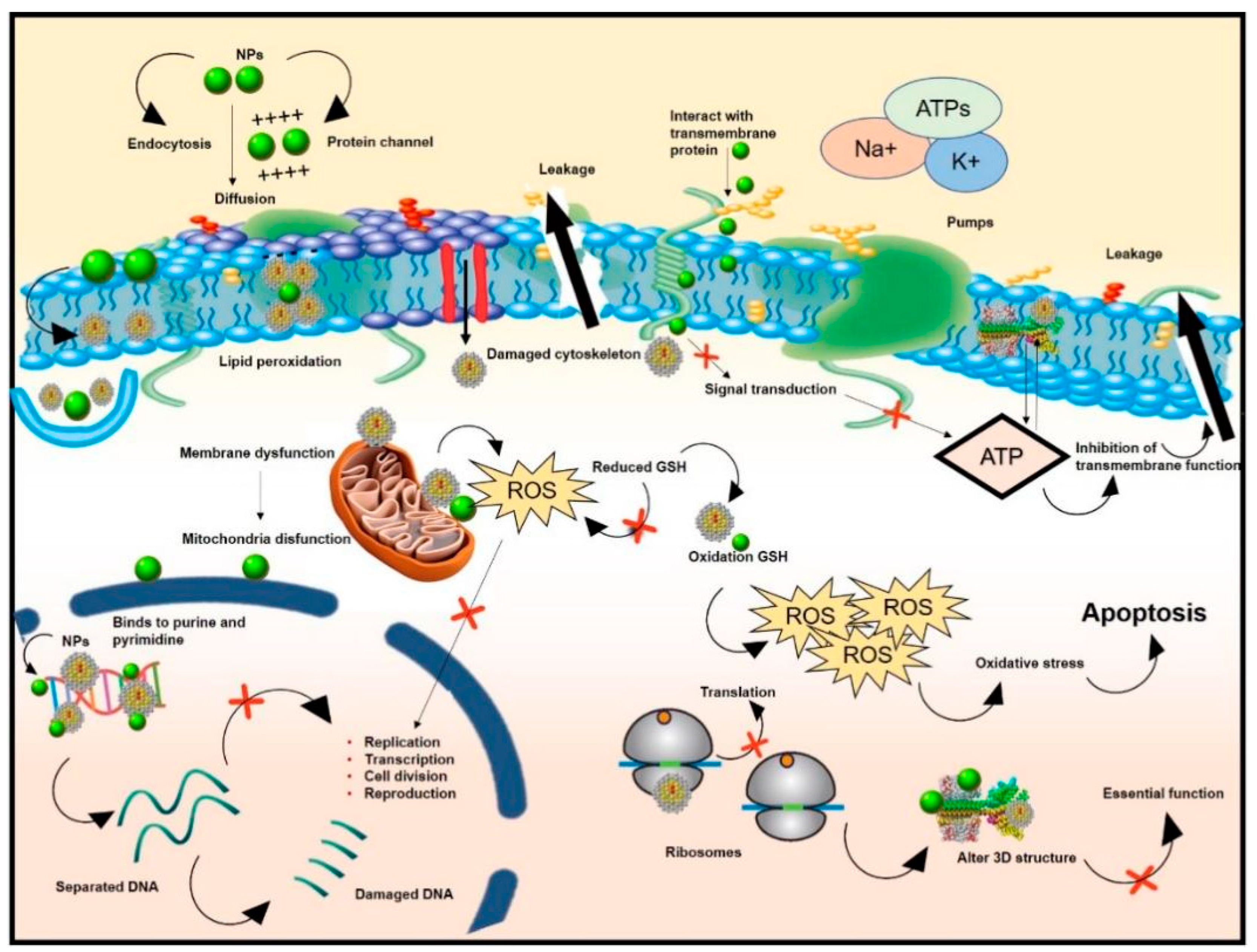Molecules 28 07674 g002