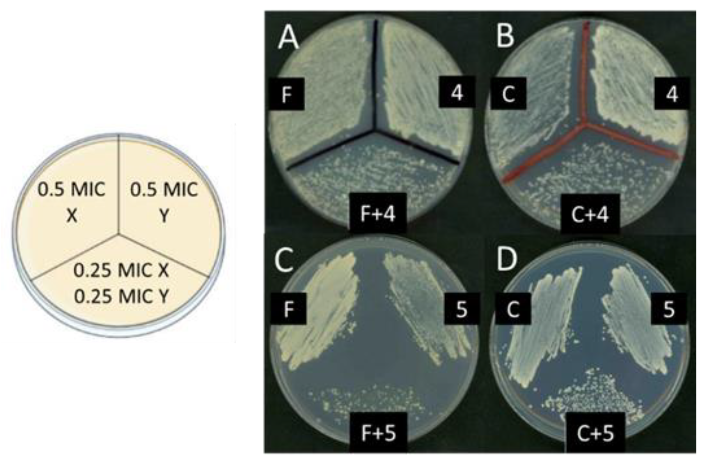 Molecules 28 07678 g004