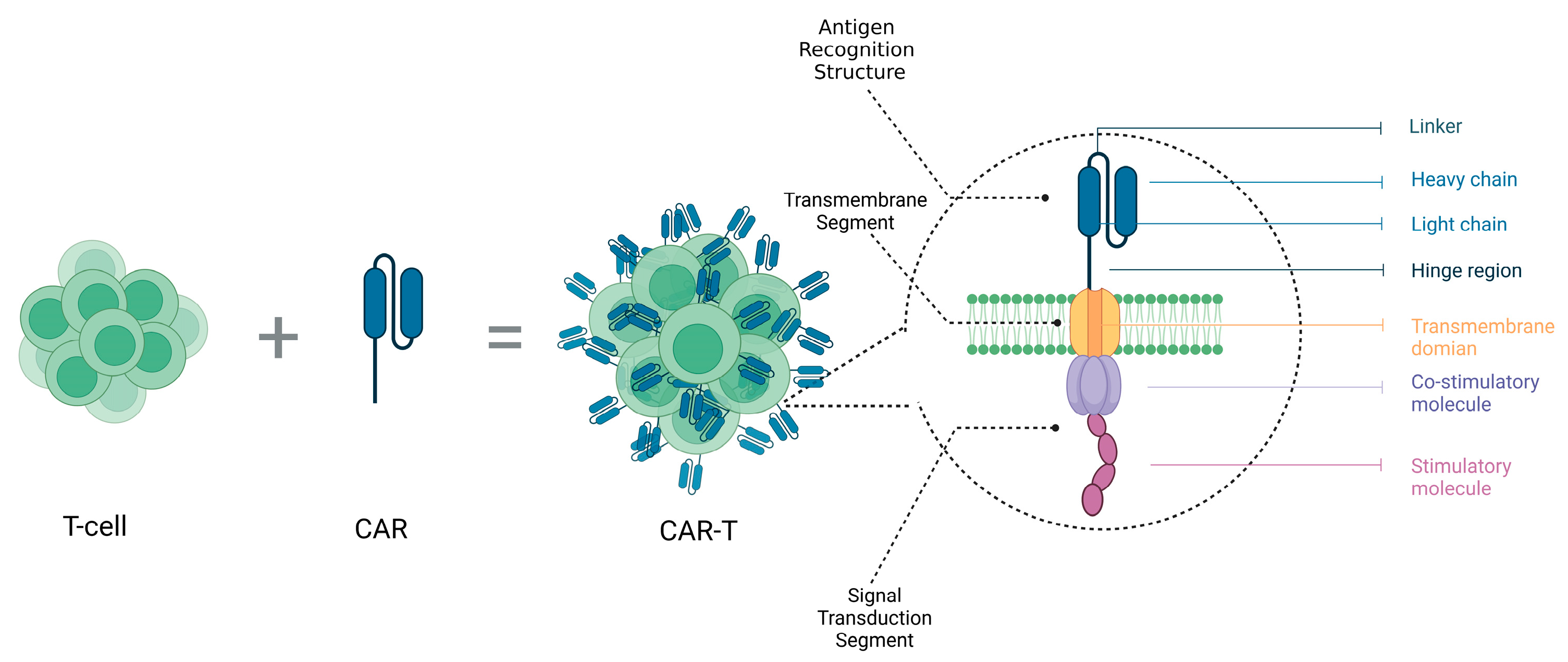 Molecules 28 07679 g001