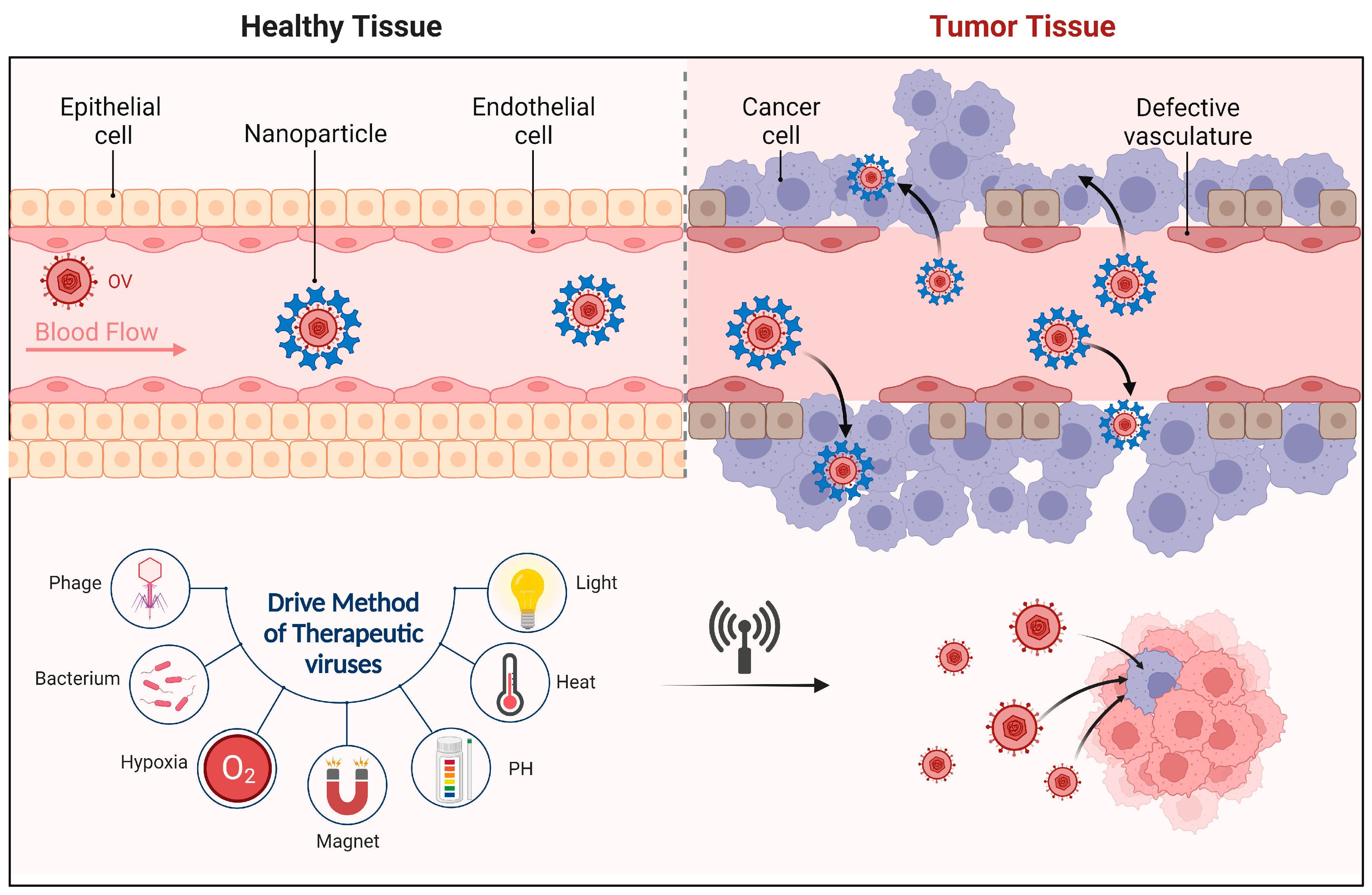 Molecules 28 07679 g004