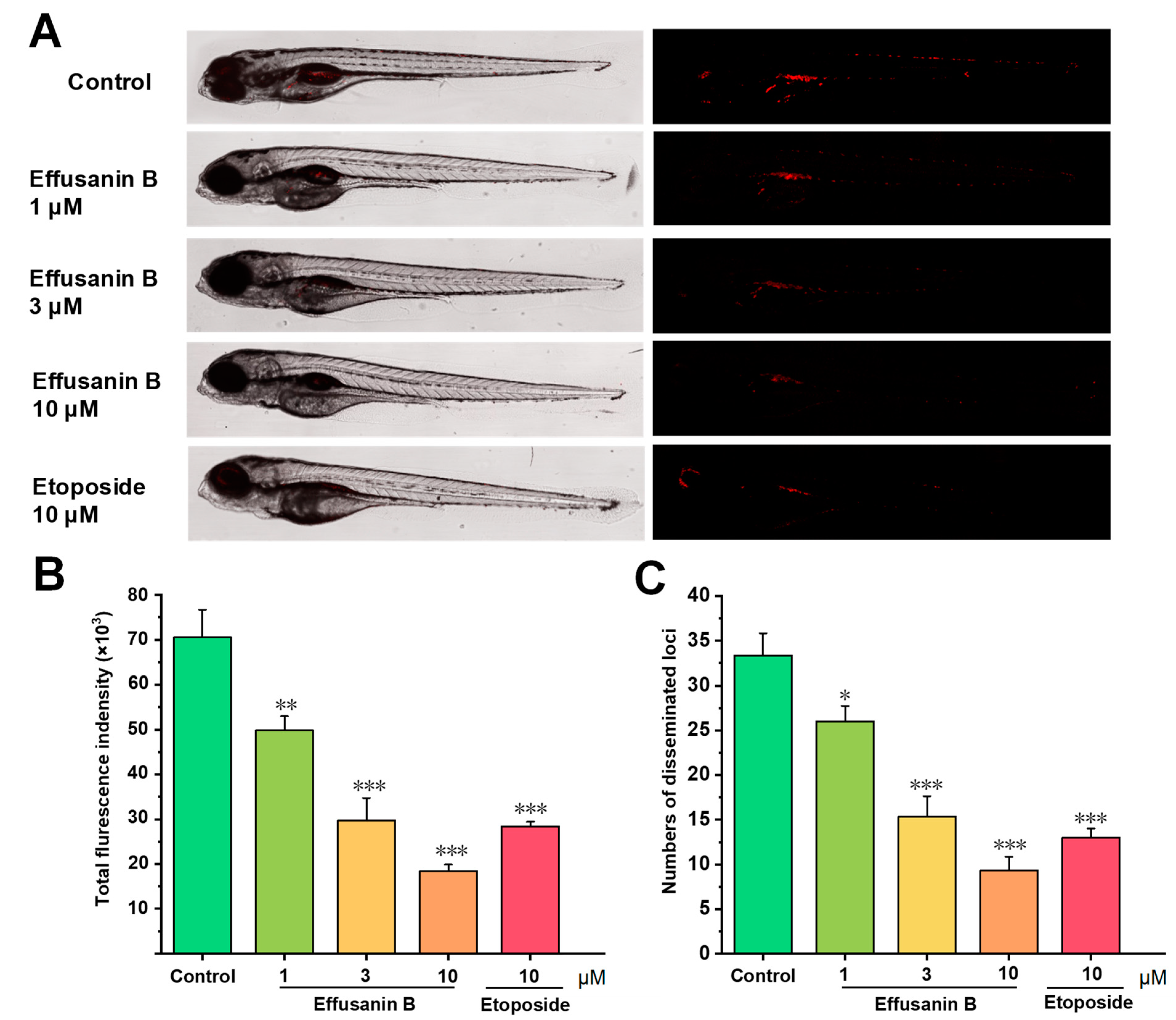 Molecules 28 07682 g009