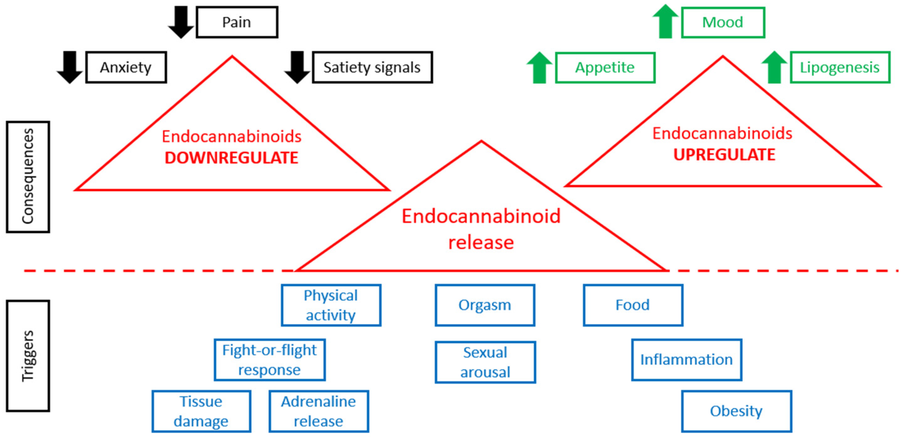 Molecules 28 07686 g001