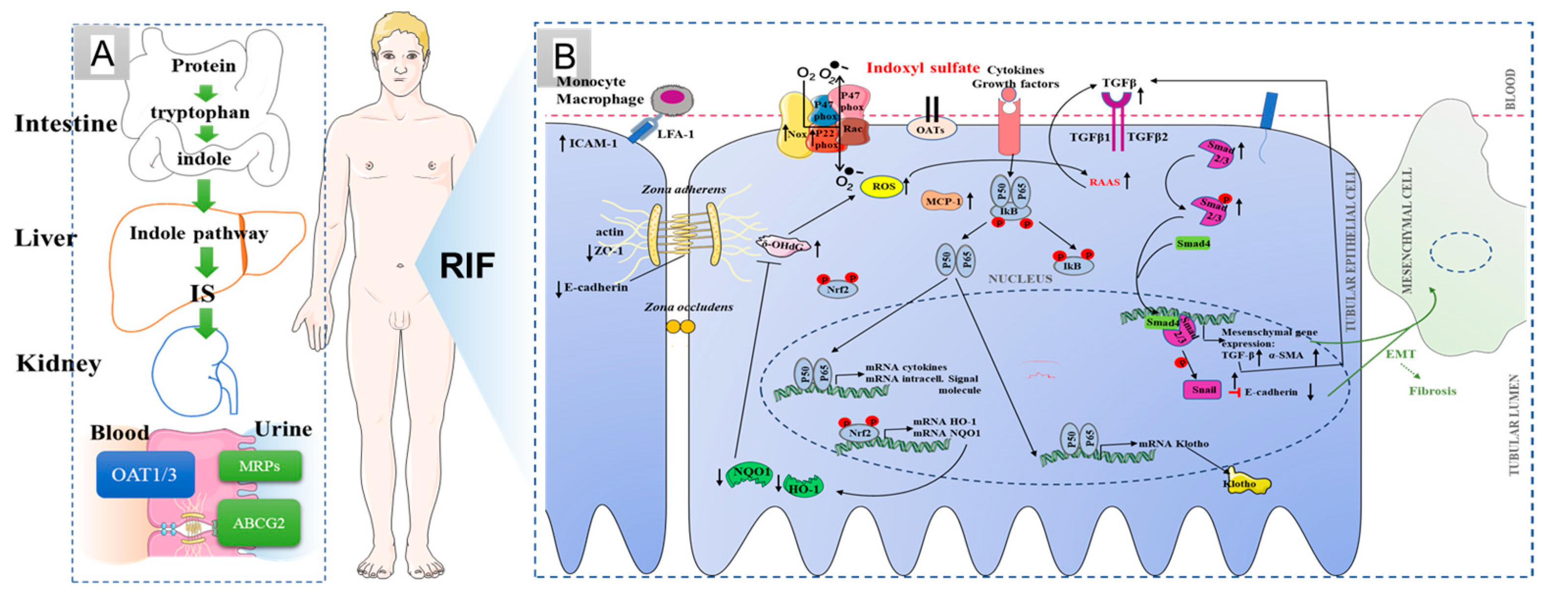 Molecules 28 07690 g001