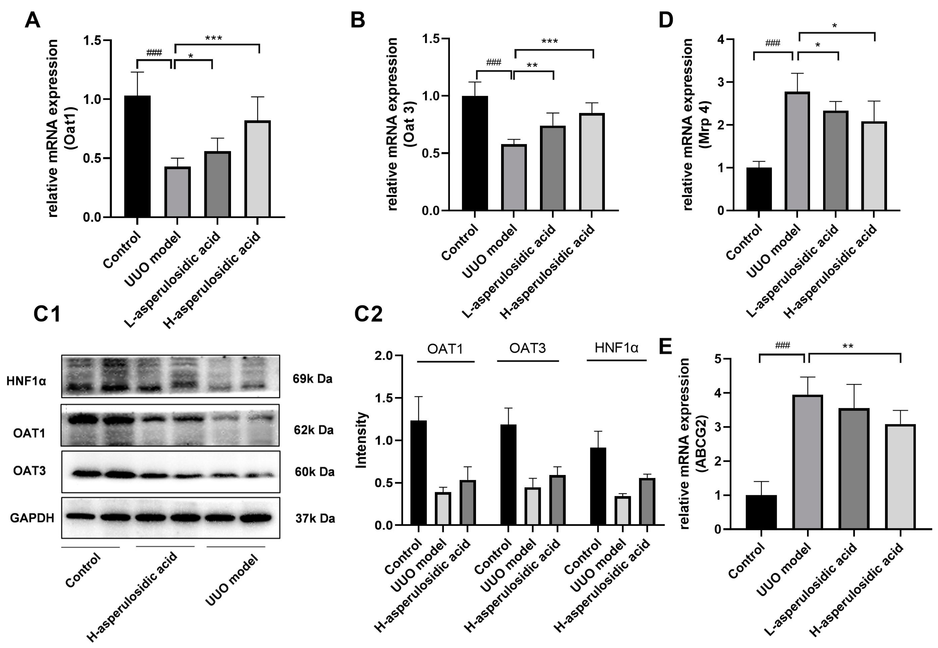 Molecules 28 07690 g005