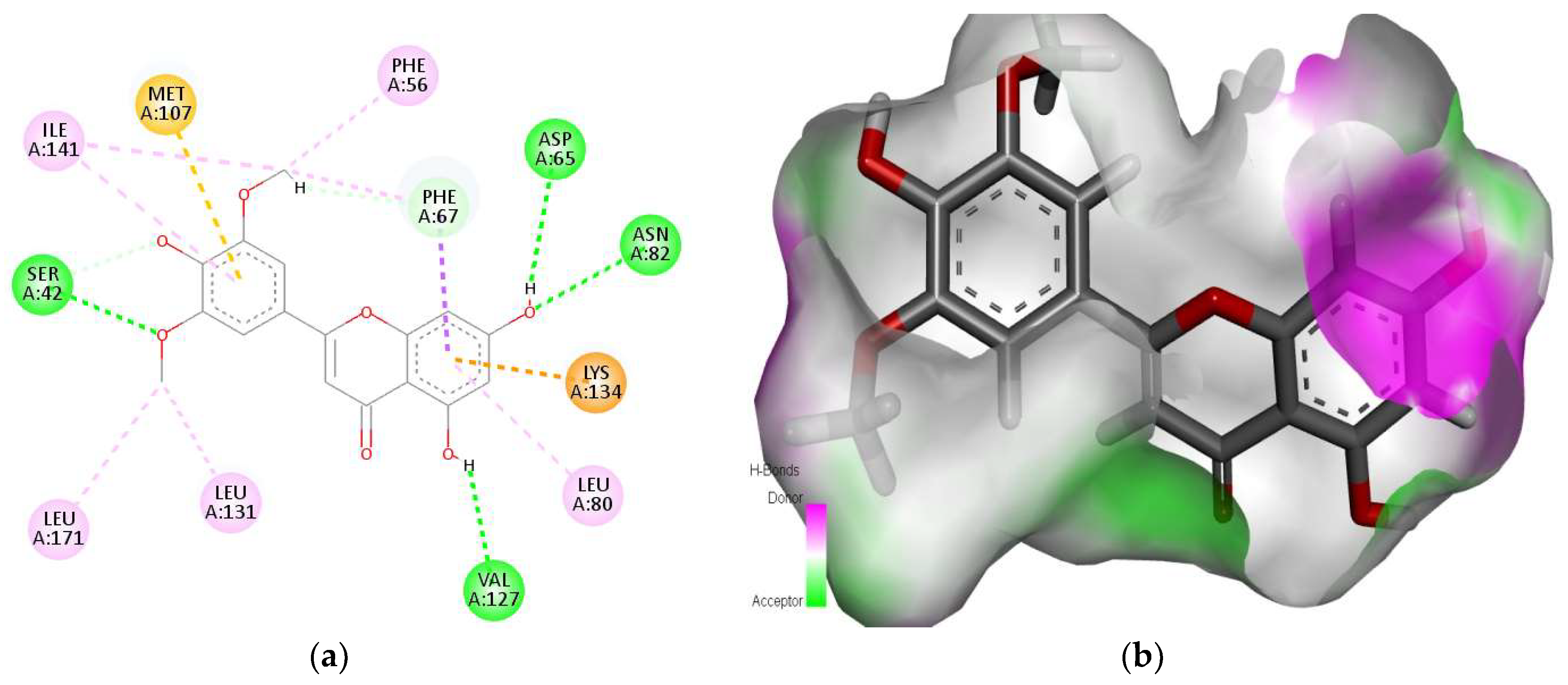 Molecules 28 07693 g001