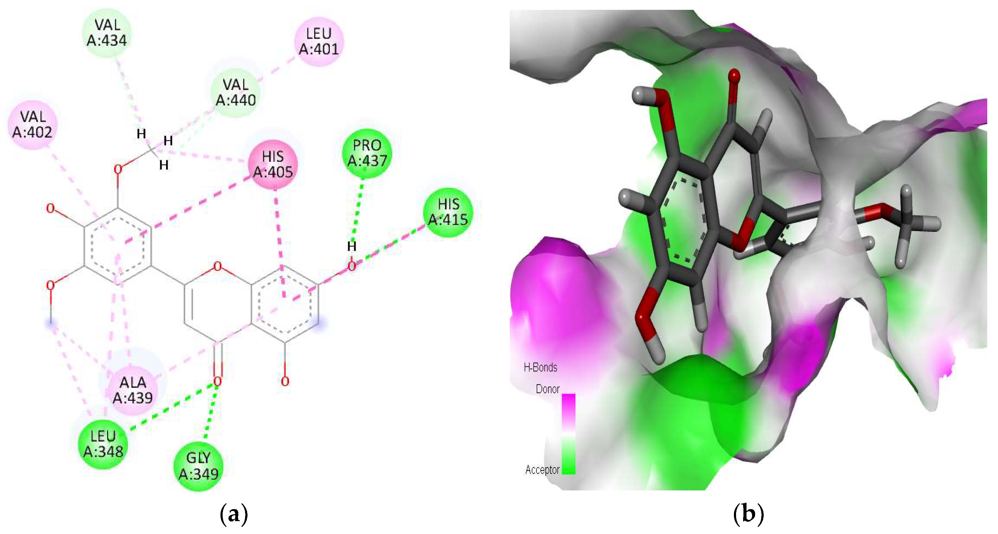 Molecules 28 07693 g002