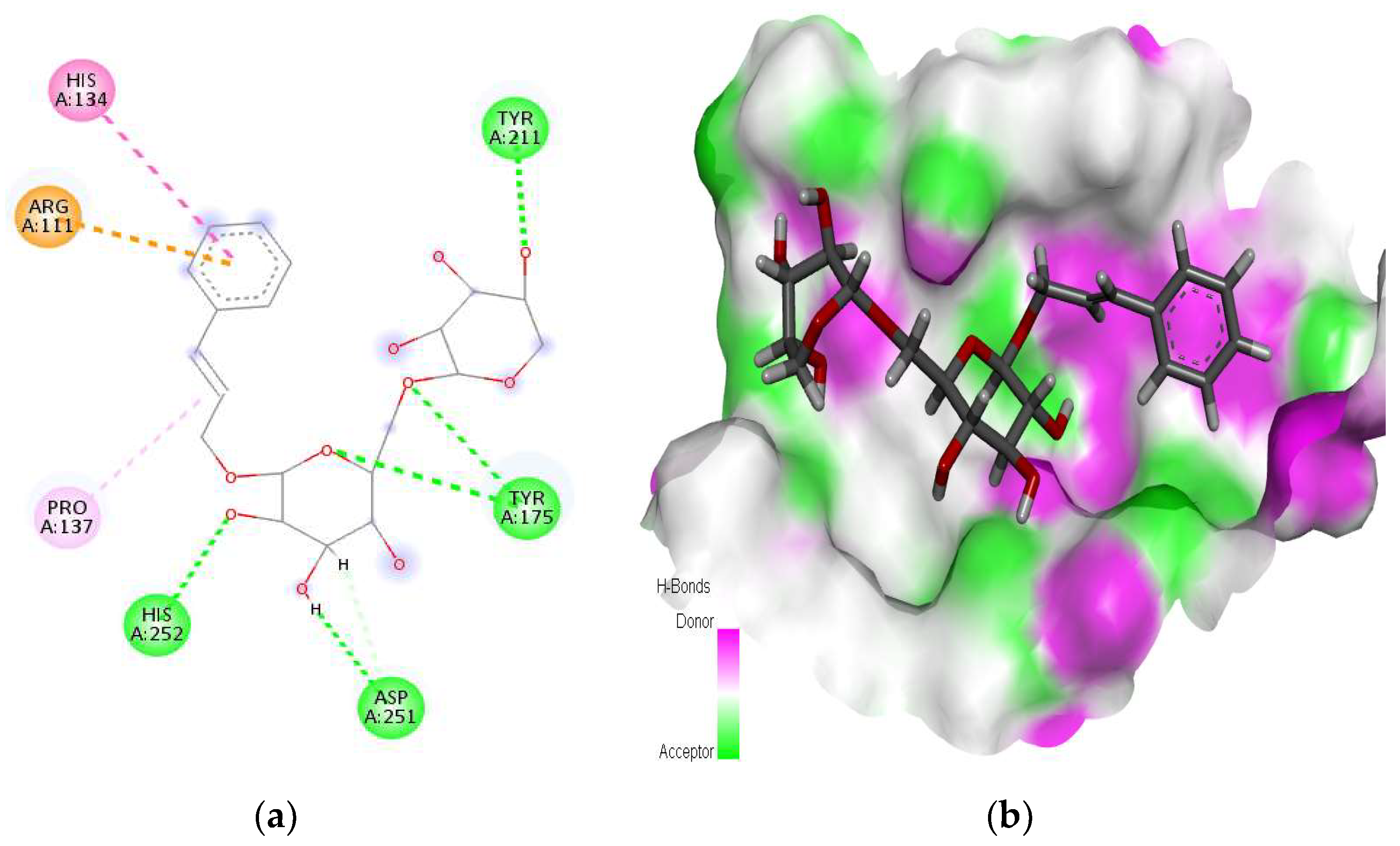 Molecules 28 07693 g003