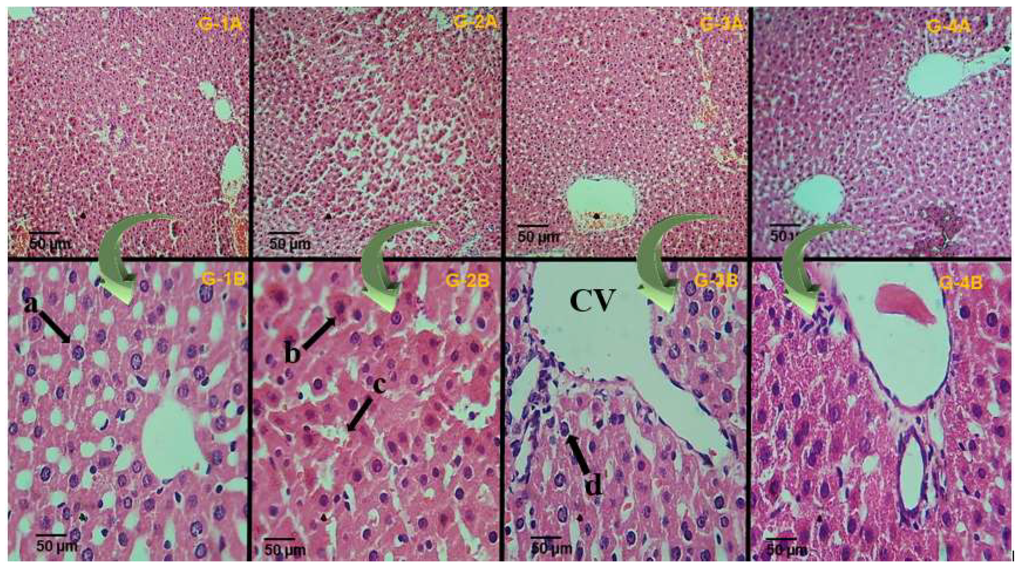 Molecules 28 07693 g008