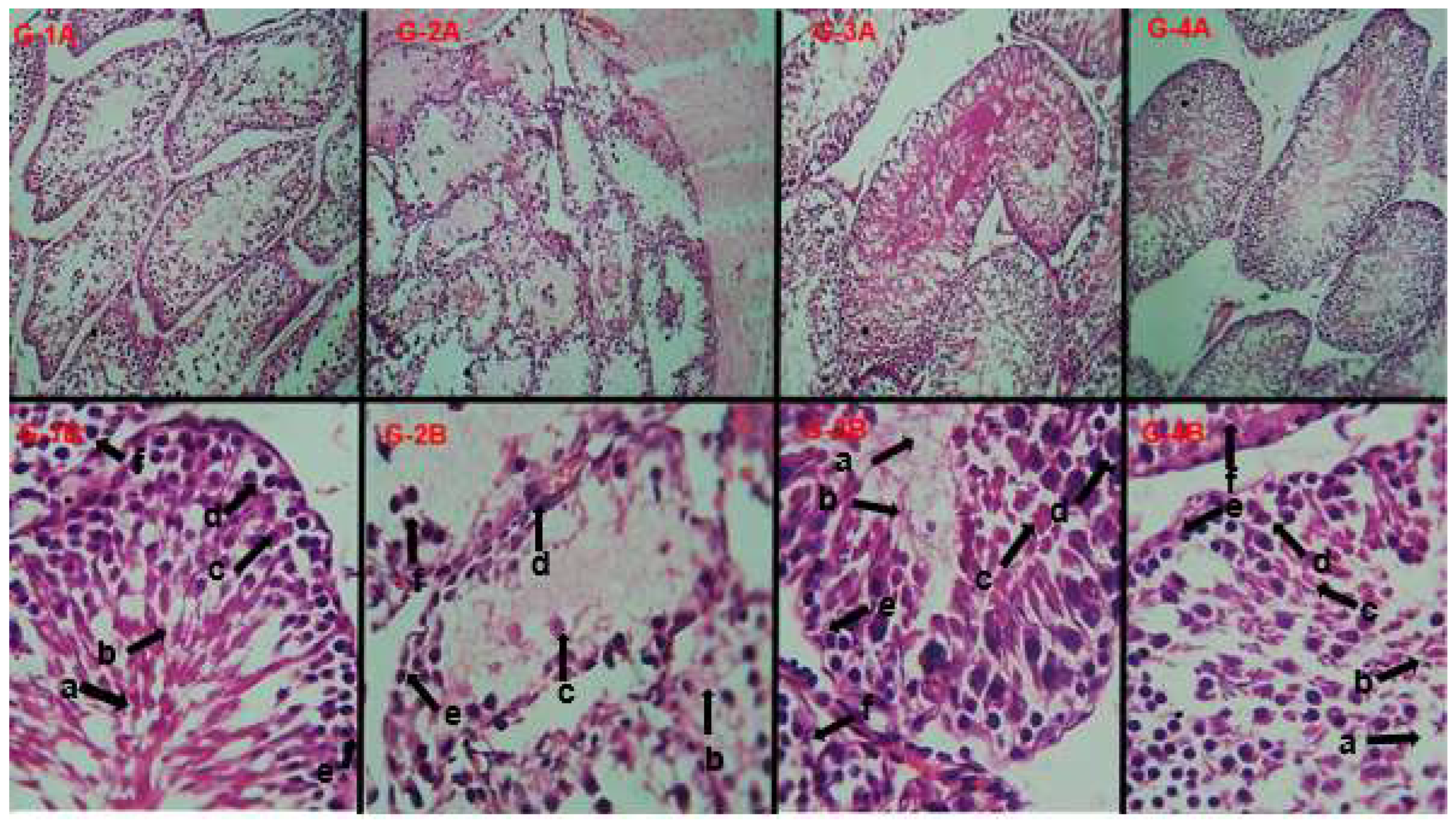 Molecules 28 07693 g009