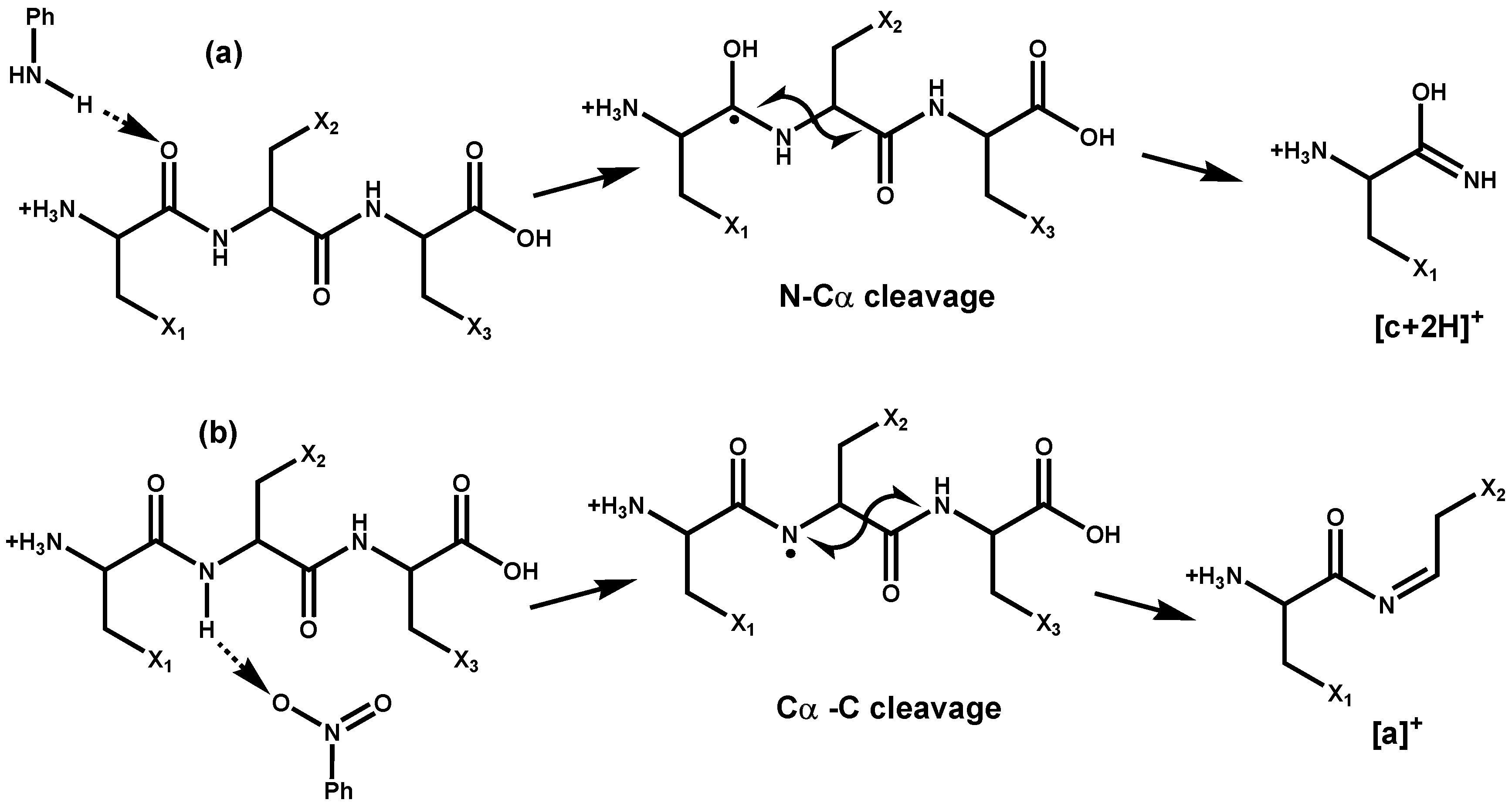 Molecules 28 07700 sch001