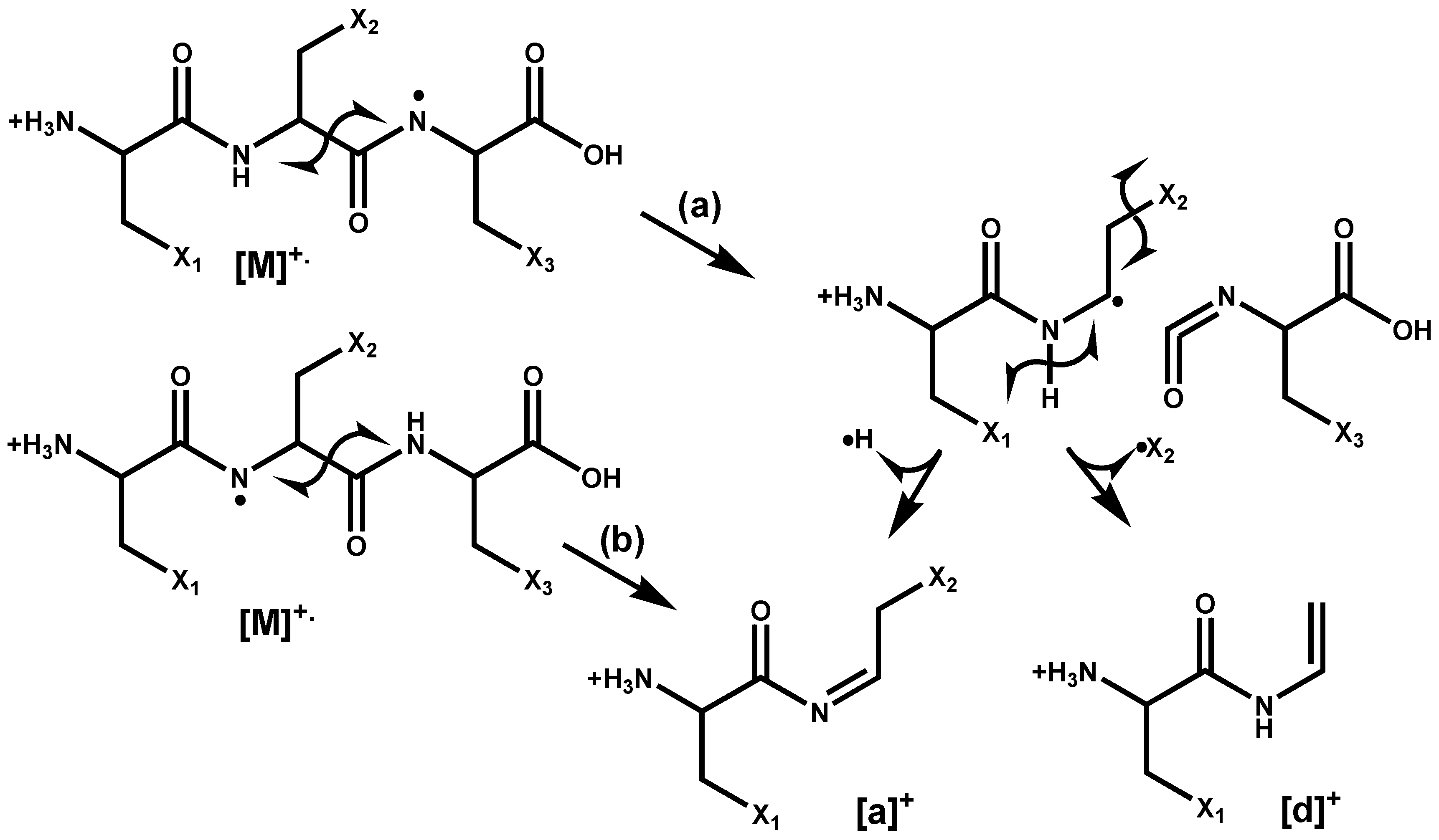 Molecules 28 07700 sch002