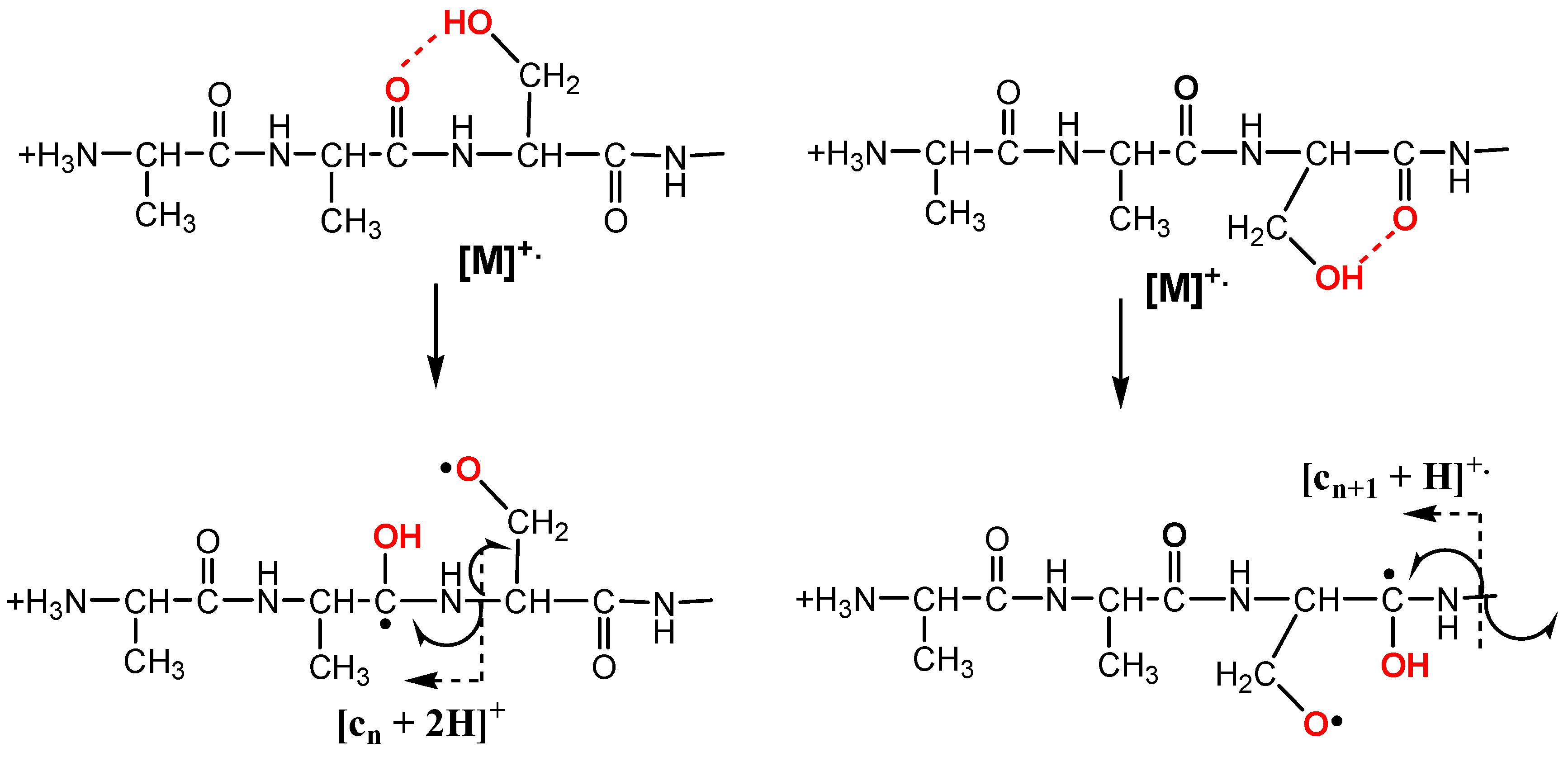 Molecules 28 07700 sch003