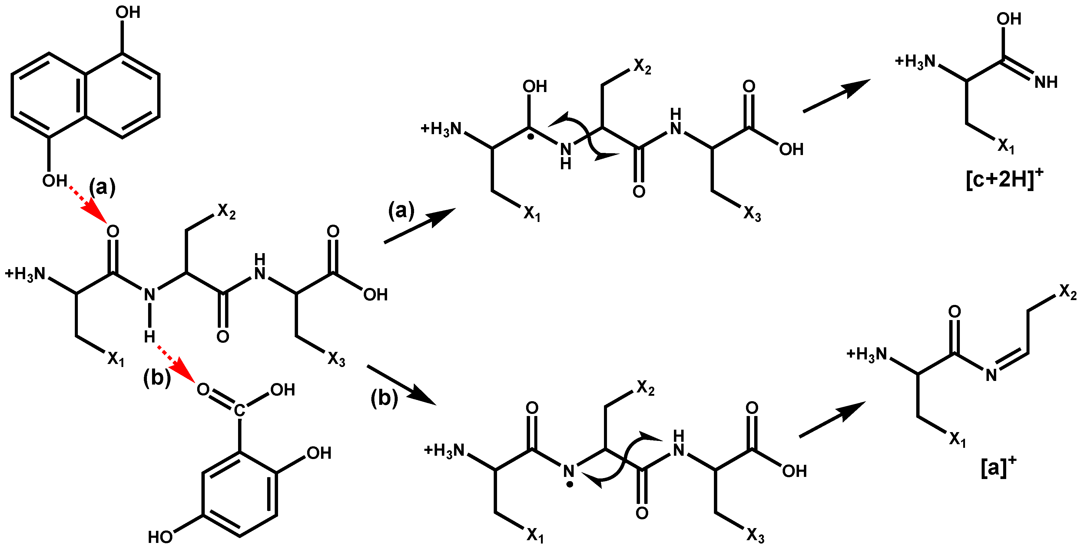 Molecules 28 07700 sch004