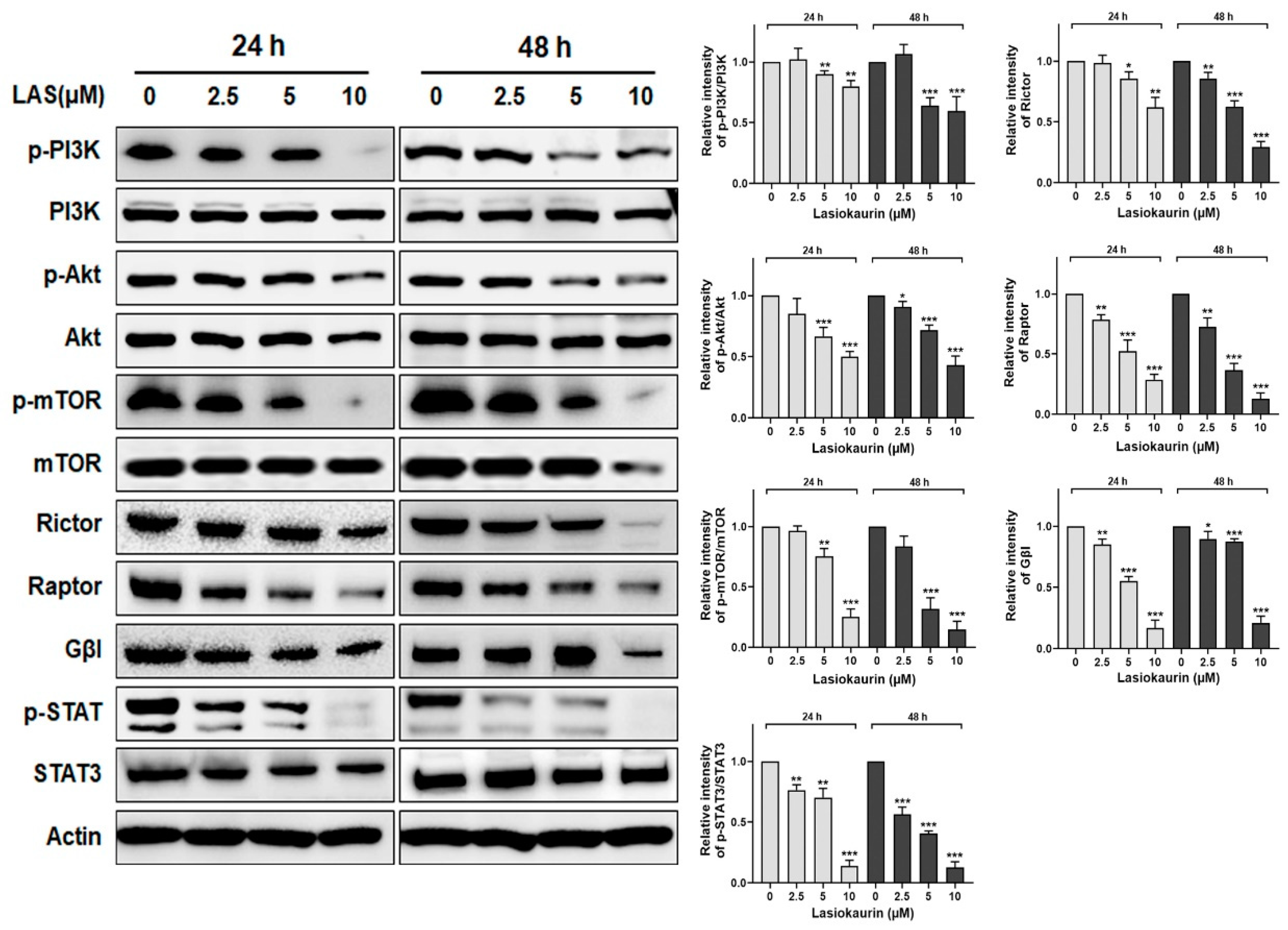 Molecules 28 07701 g005