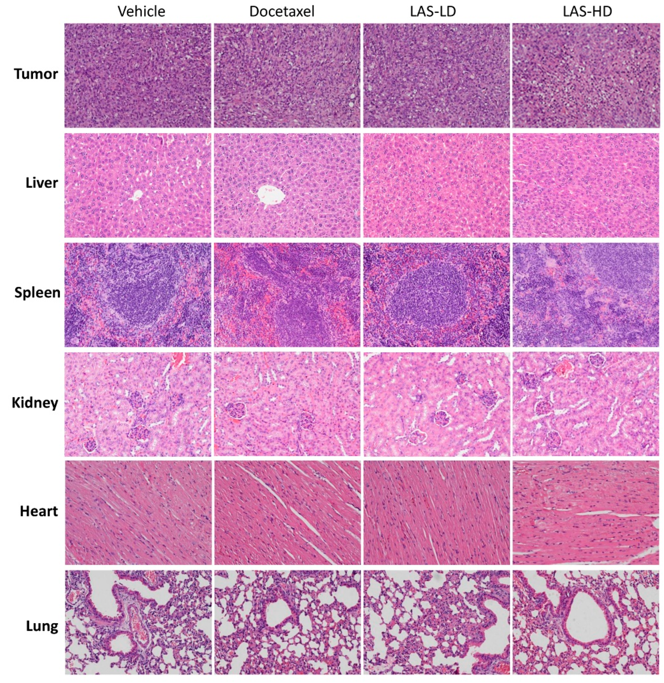 Molecules 28 07701 g007