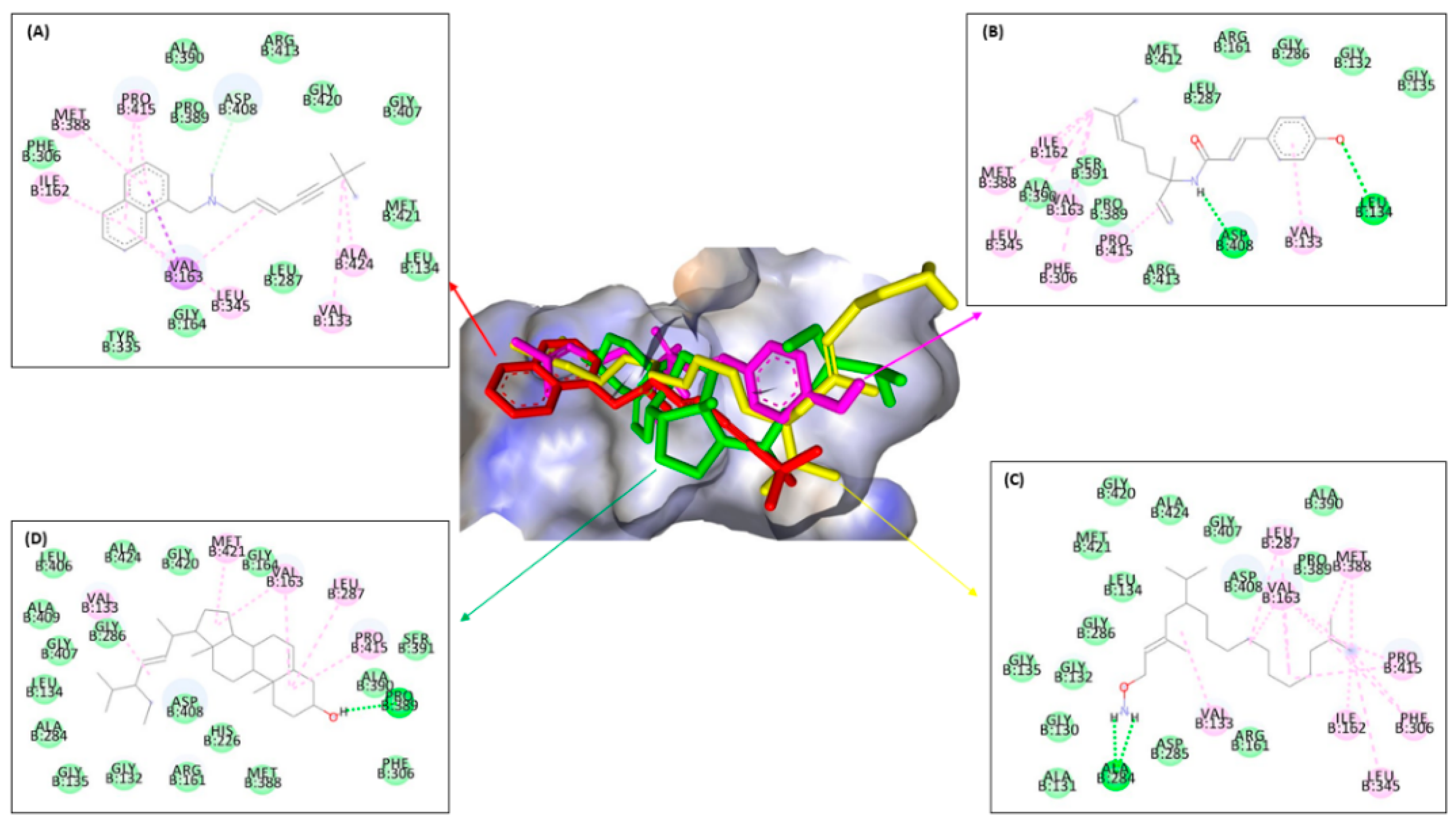 Molecules 28 07705 g006