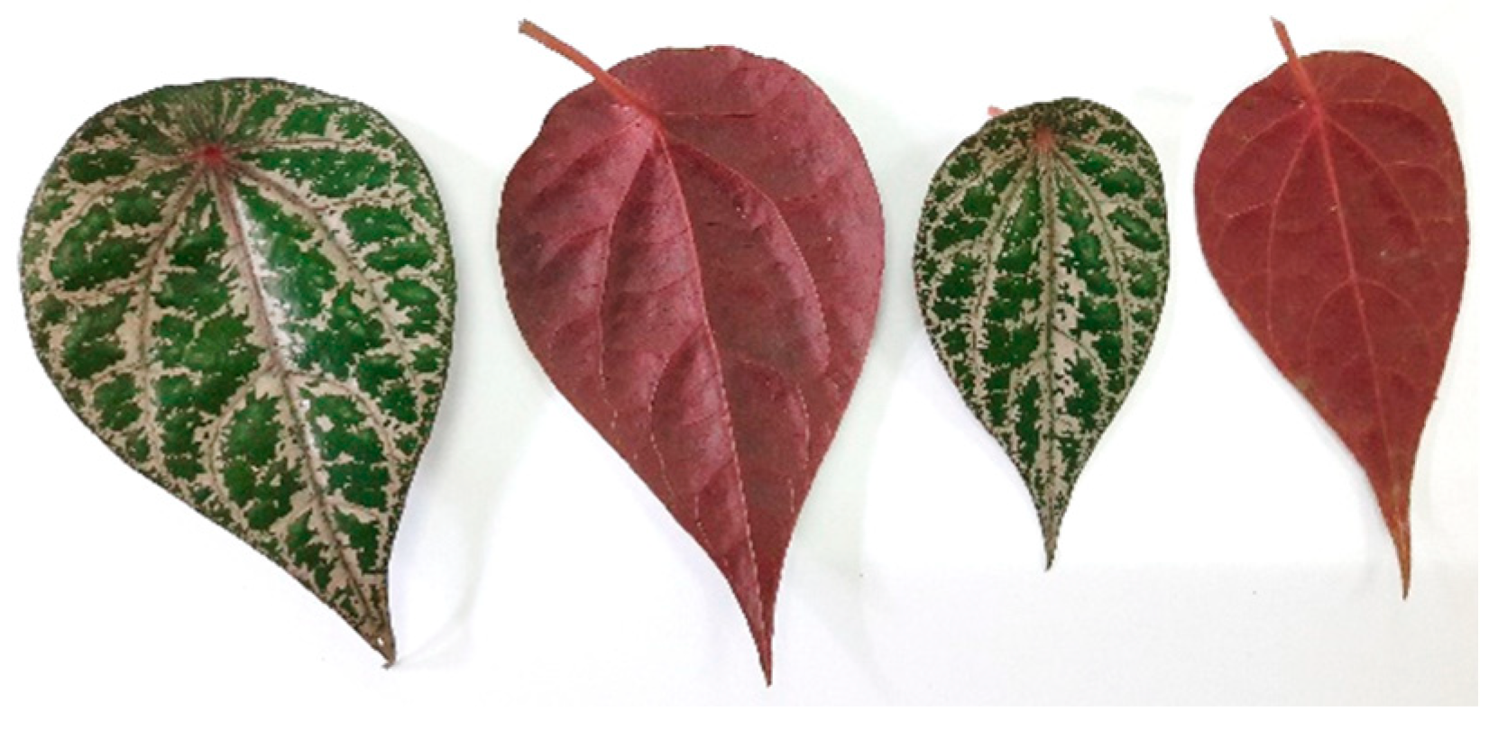 Molecules 28 07705 g011