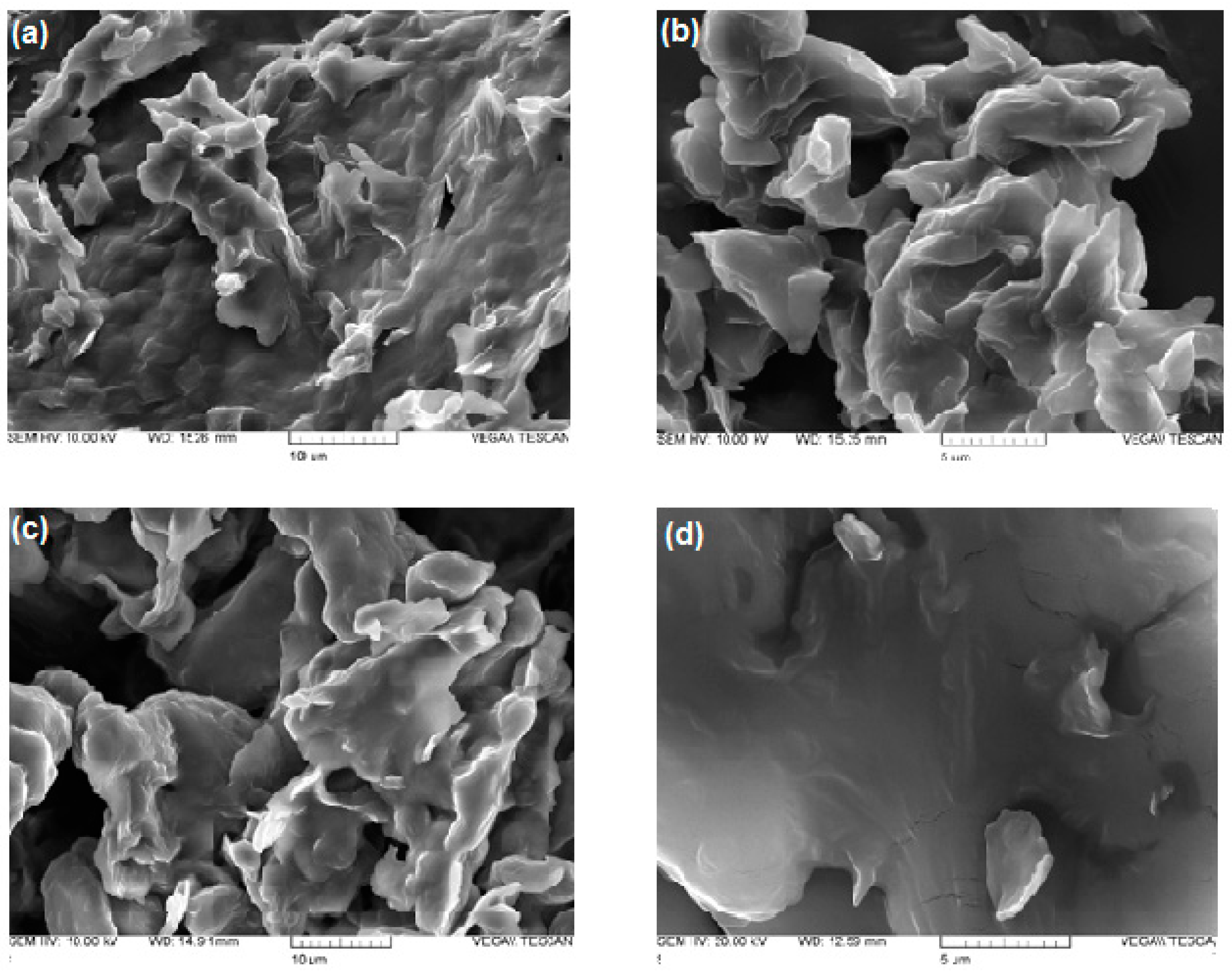 Molecules 28 07706 g004