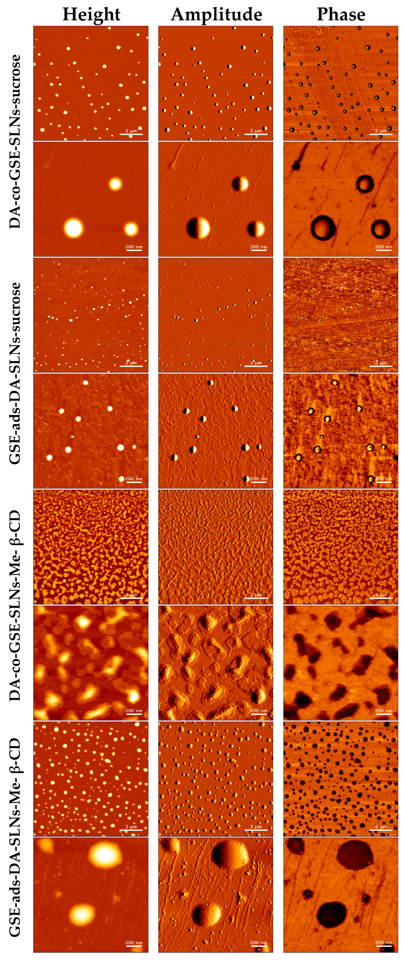Molecules 28 07706 g005