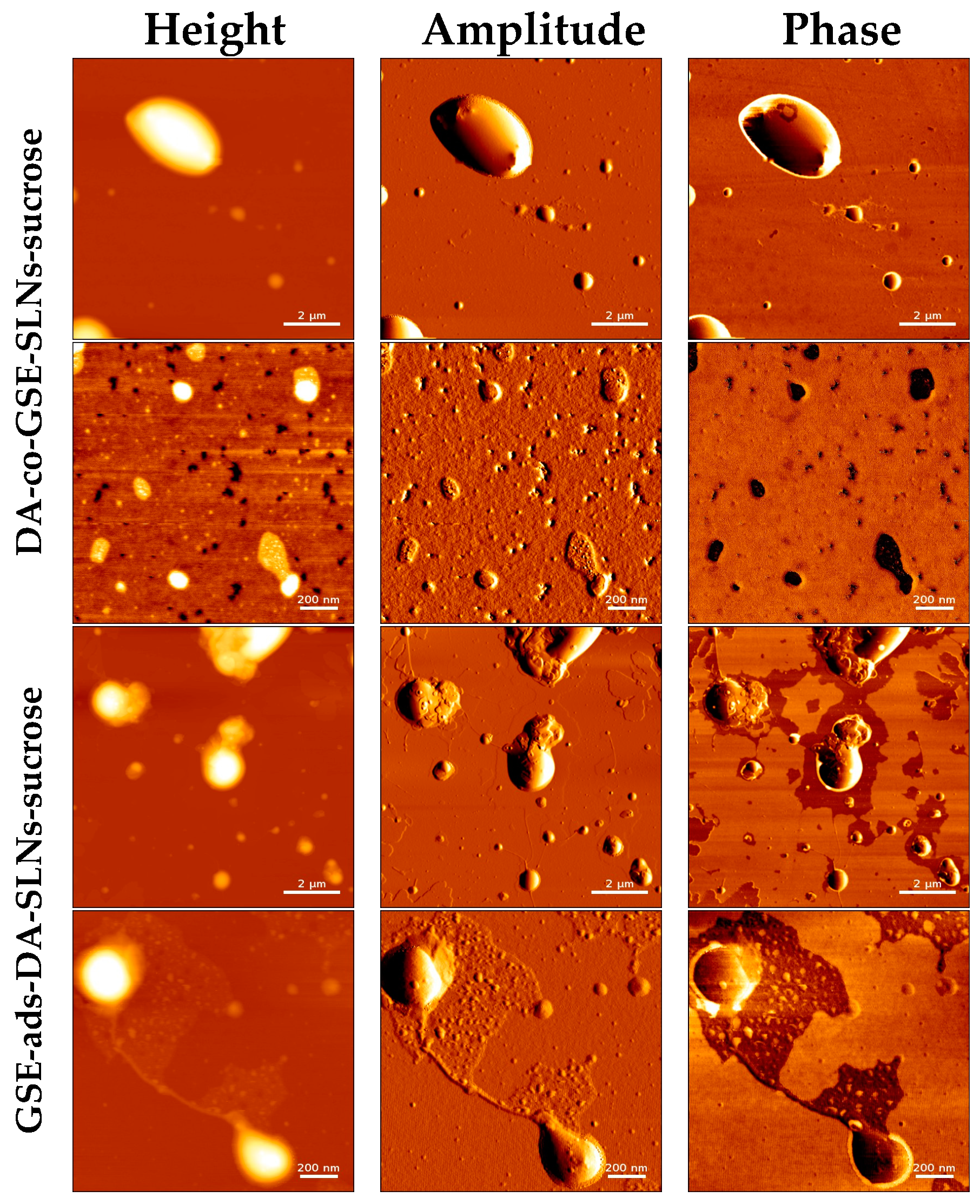Molecules 28 07706 g006